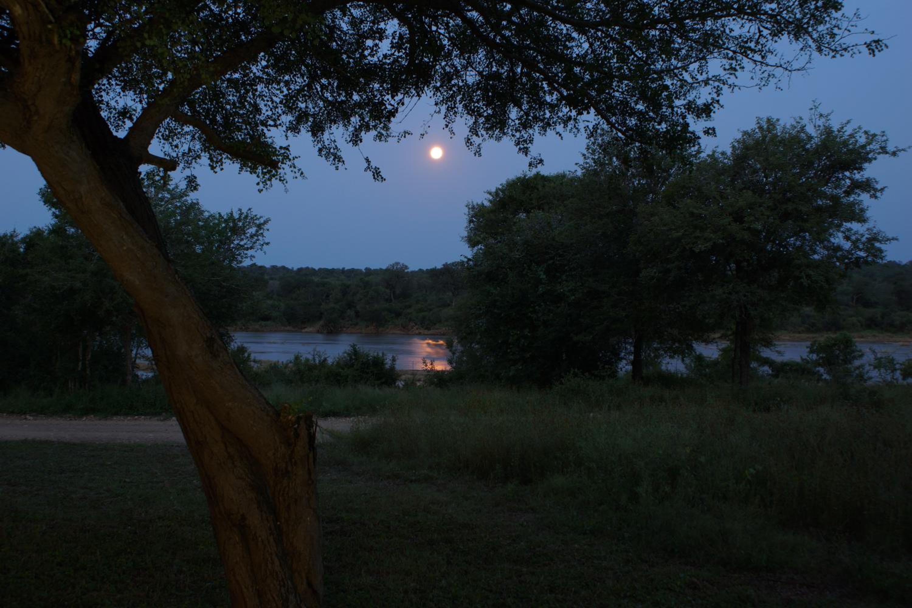 Photo 47