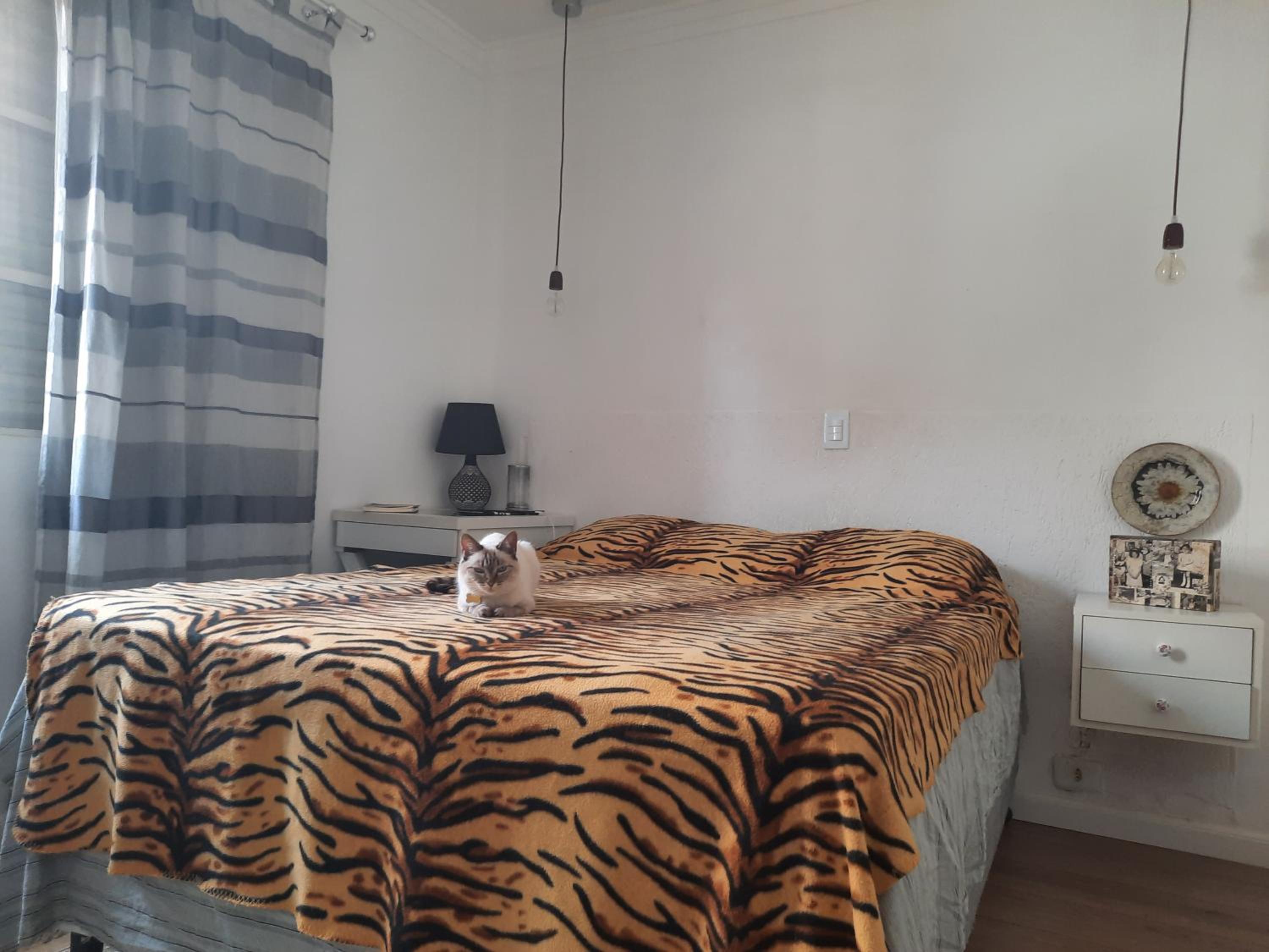 Charmosa casa em condominio com quintal