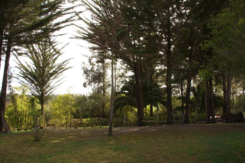 Hacienda El Convento, Santo Domingo
