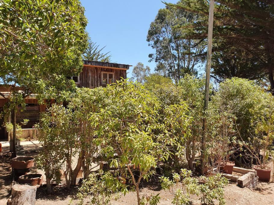 Hacienda El Convento, Santo Domingo