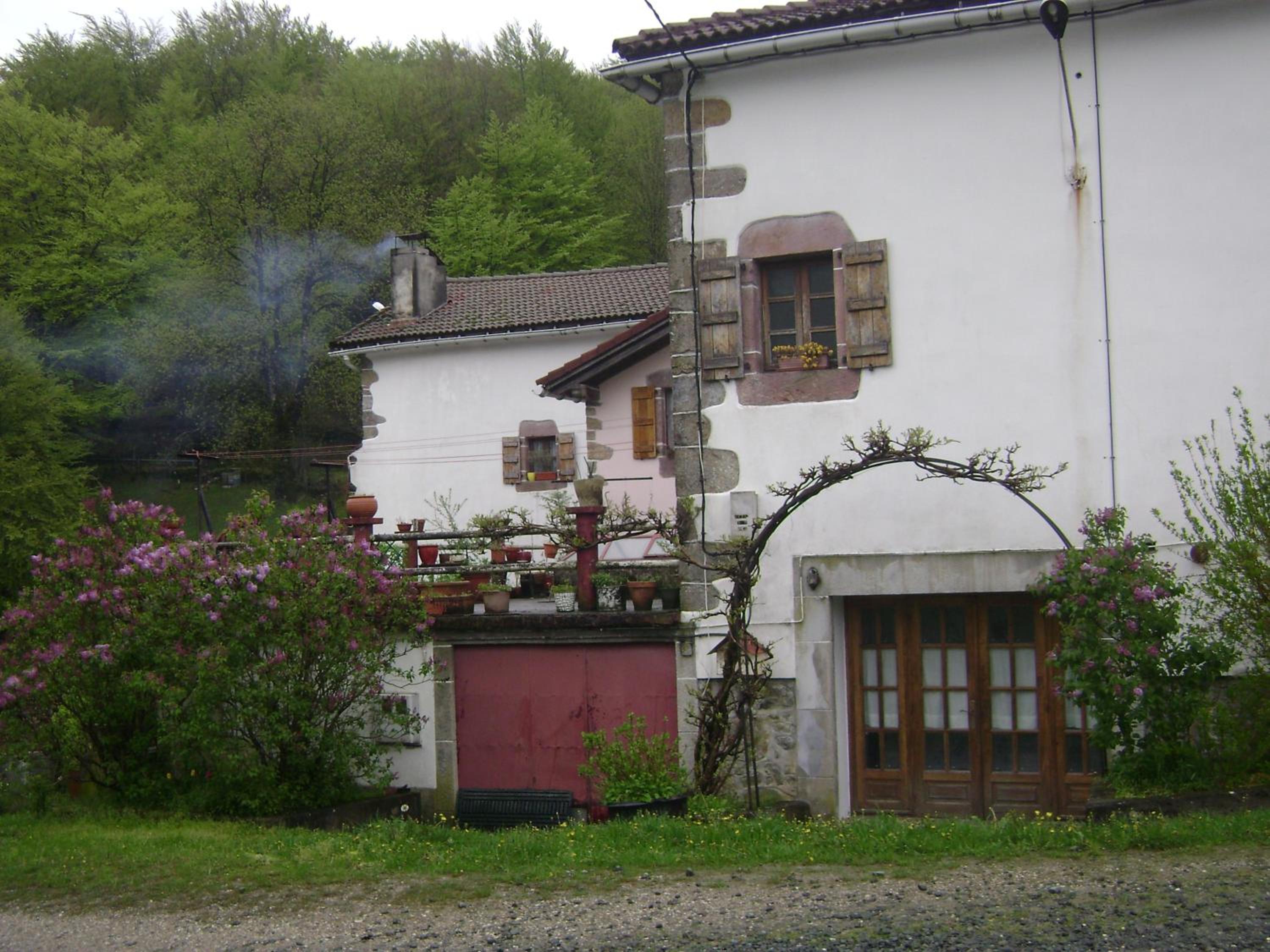 Photo 25