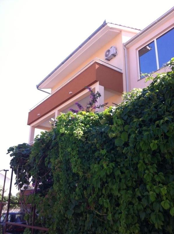 Photo 40
