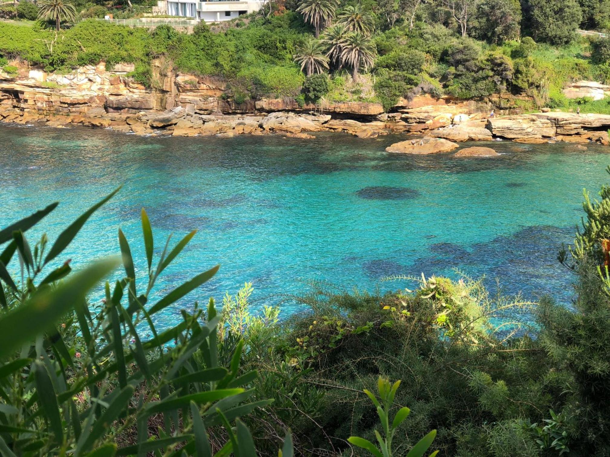 Little Coogee Hotel