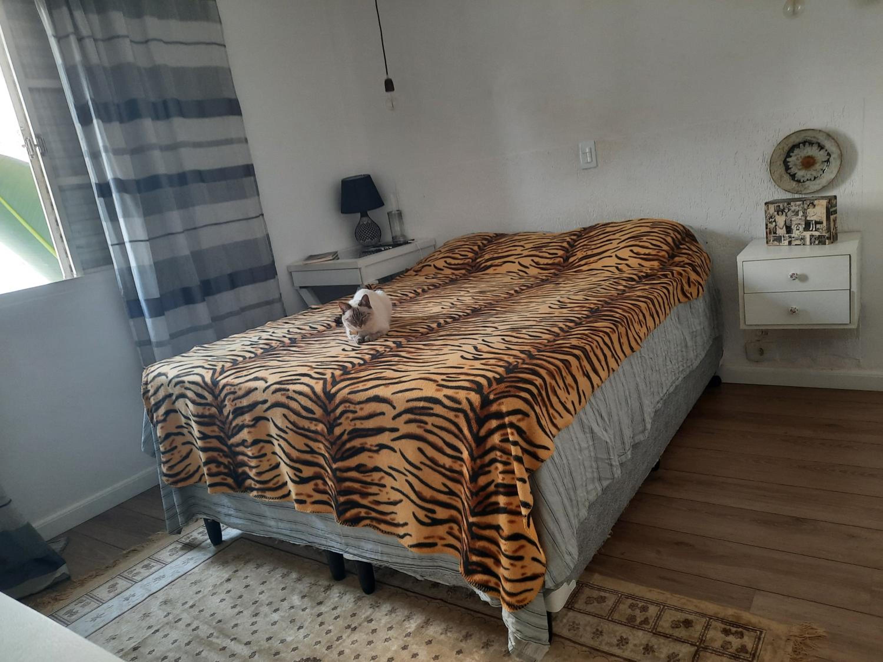 Charmosa casa em condominio com quintal