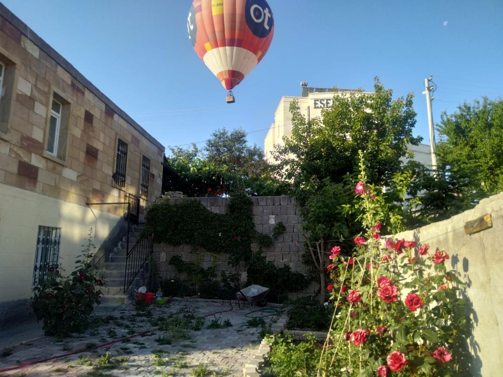 Photo 10