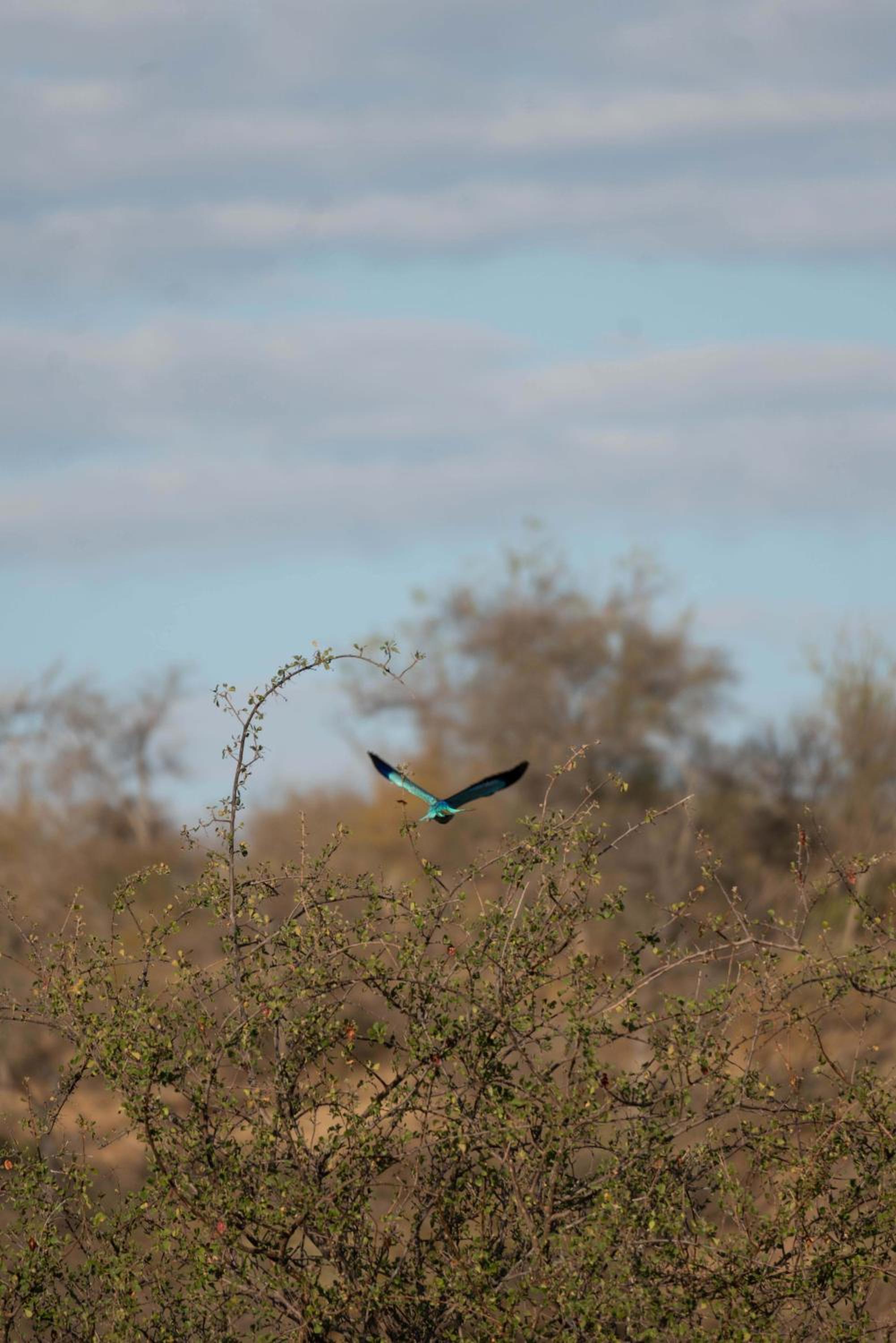 Maninghi Lodge