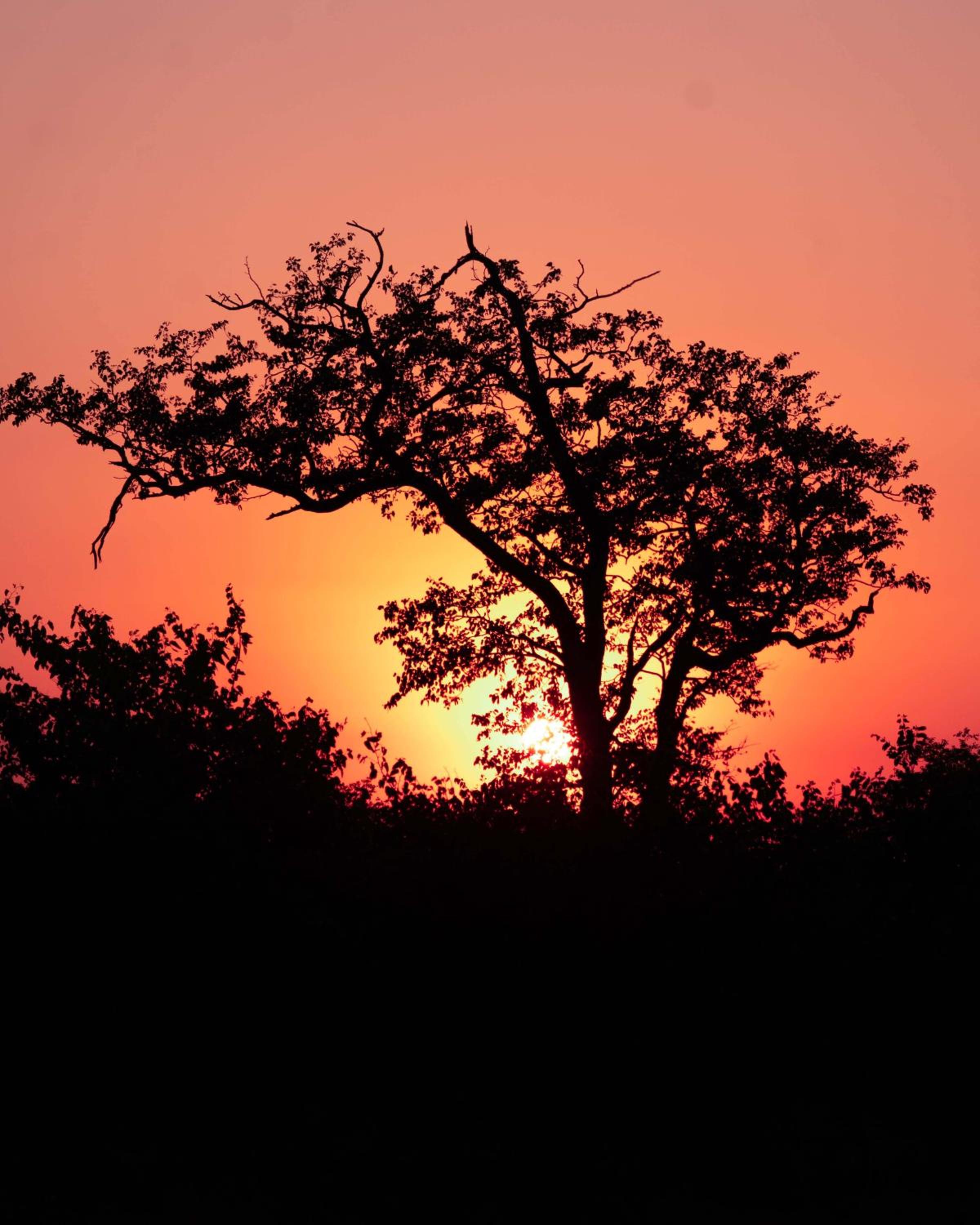 Maninghi Lodge
