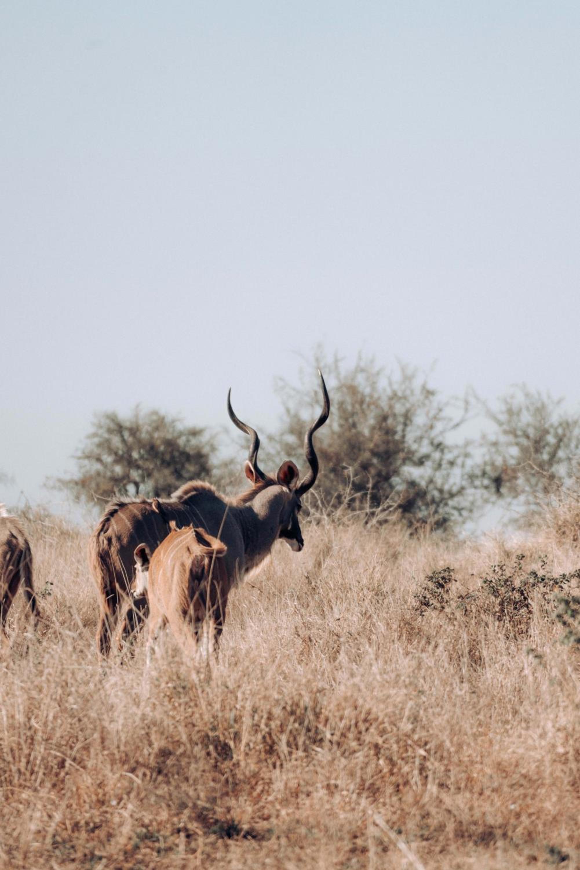 Maninghi Lodge