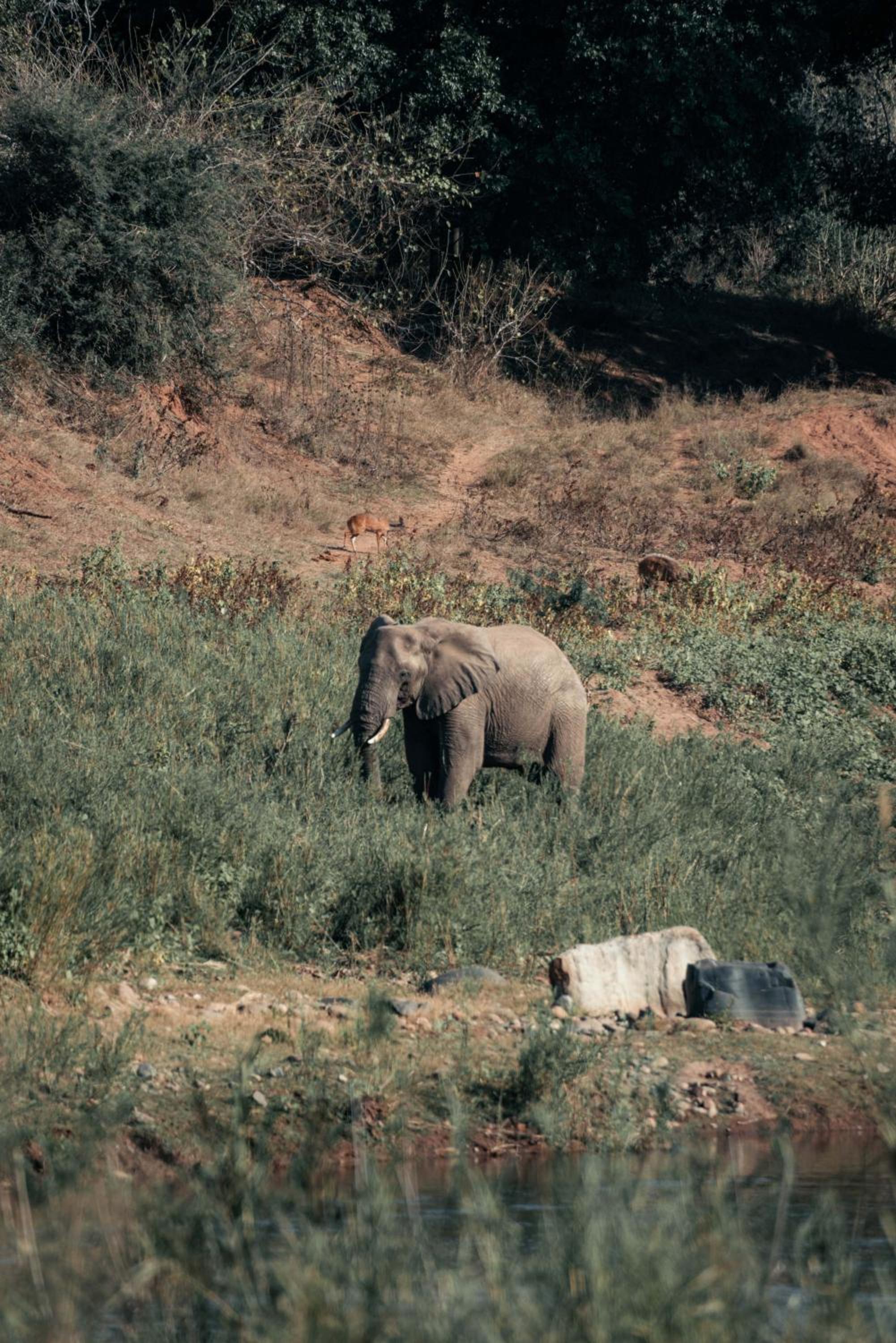 Maninghi Lodge