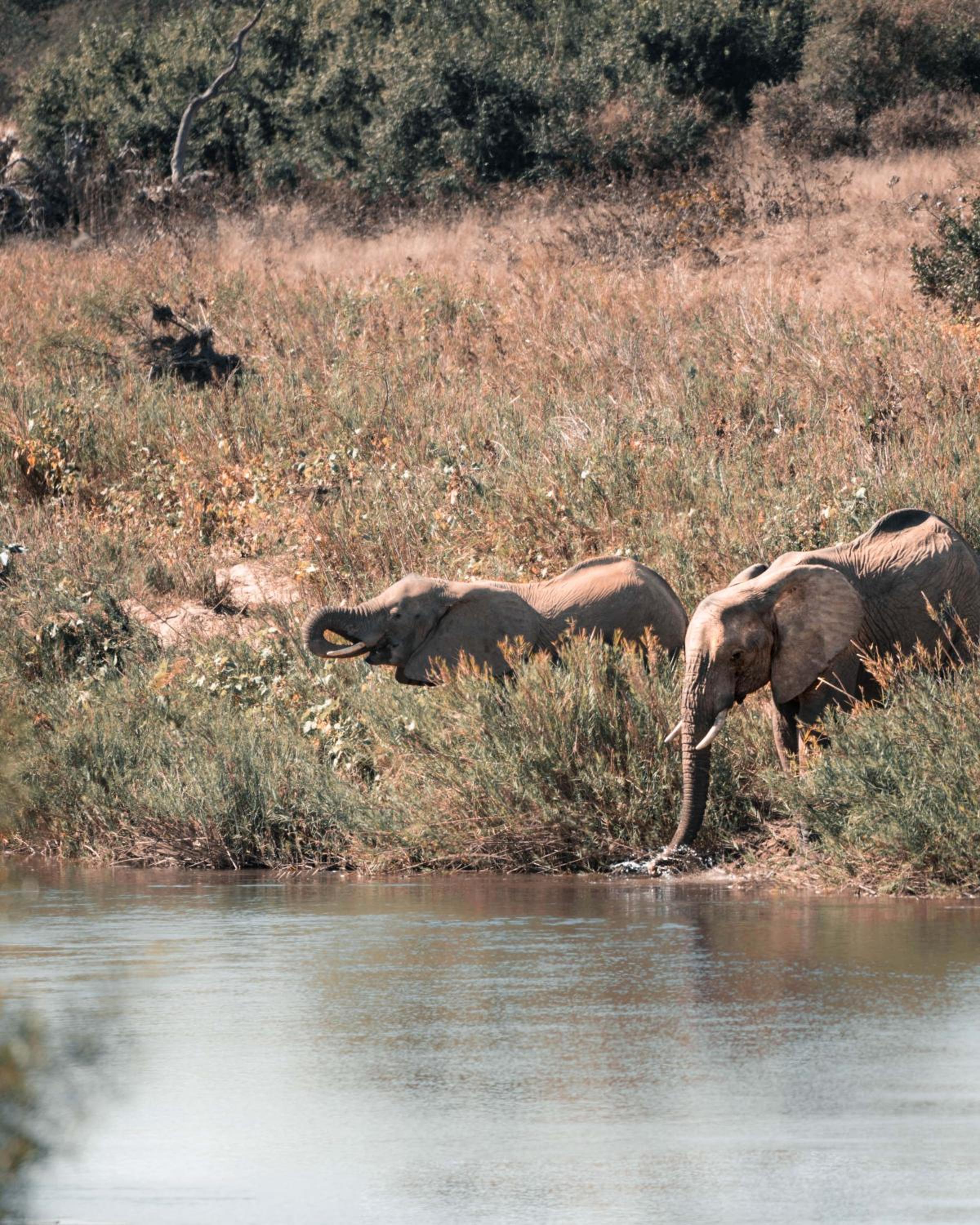 Maninghi Lodge