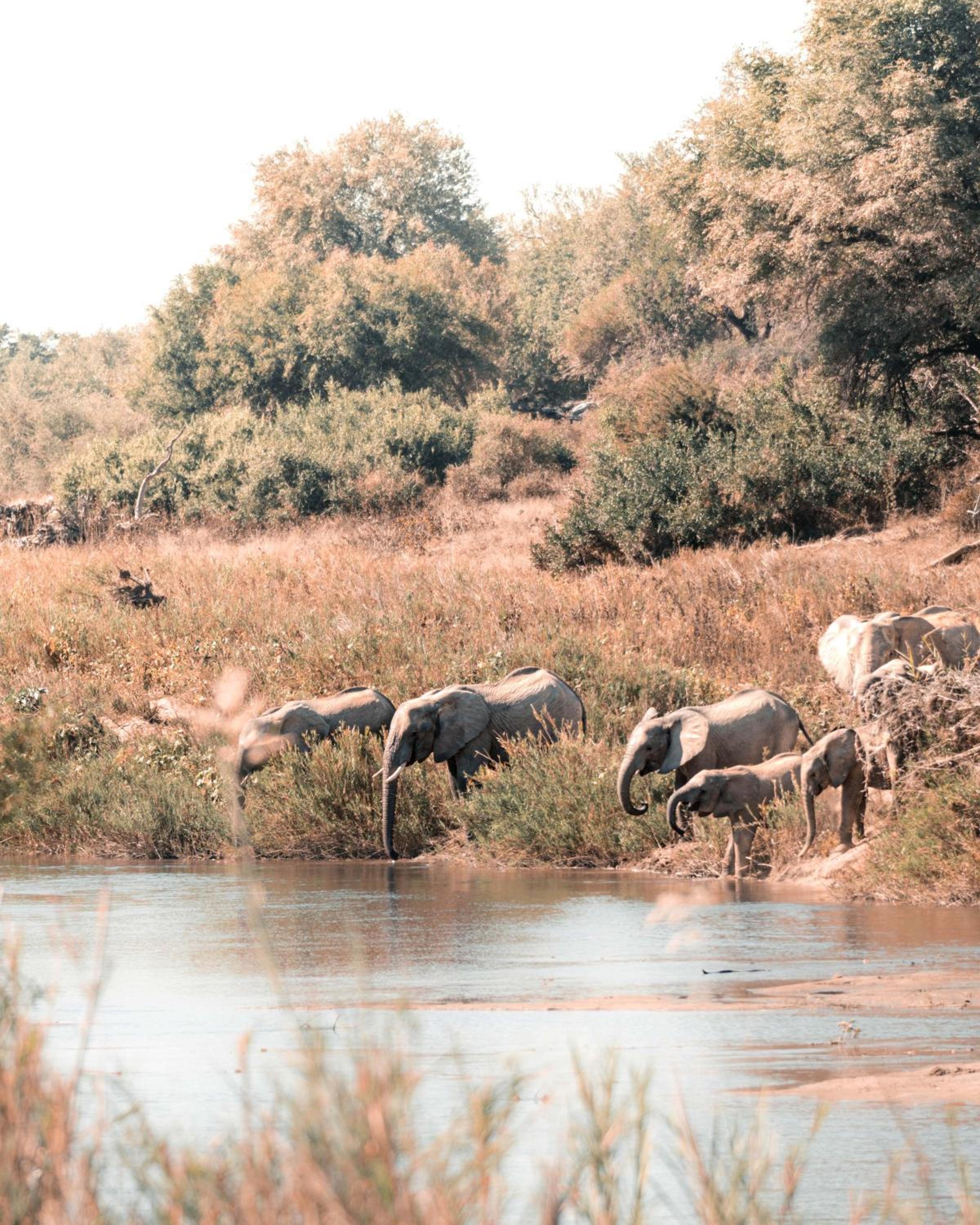 Maninghi Lodge