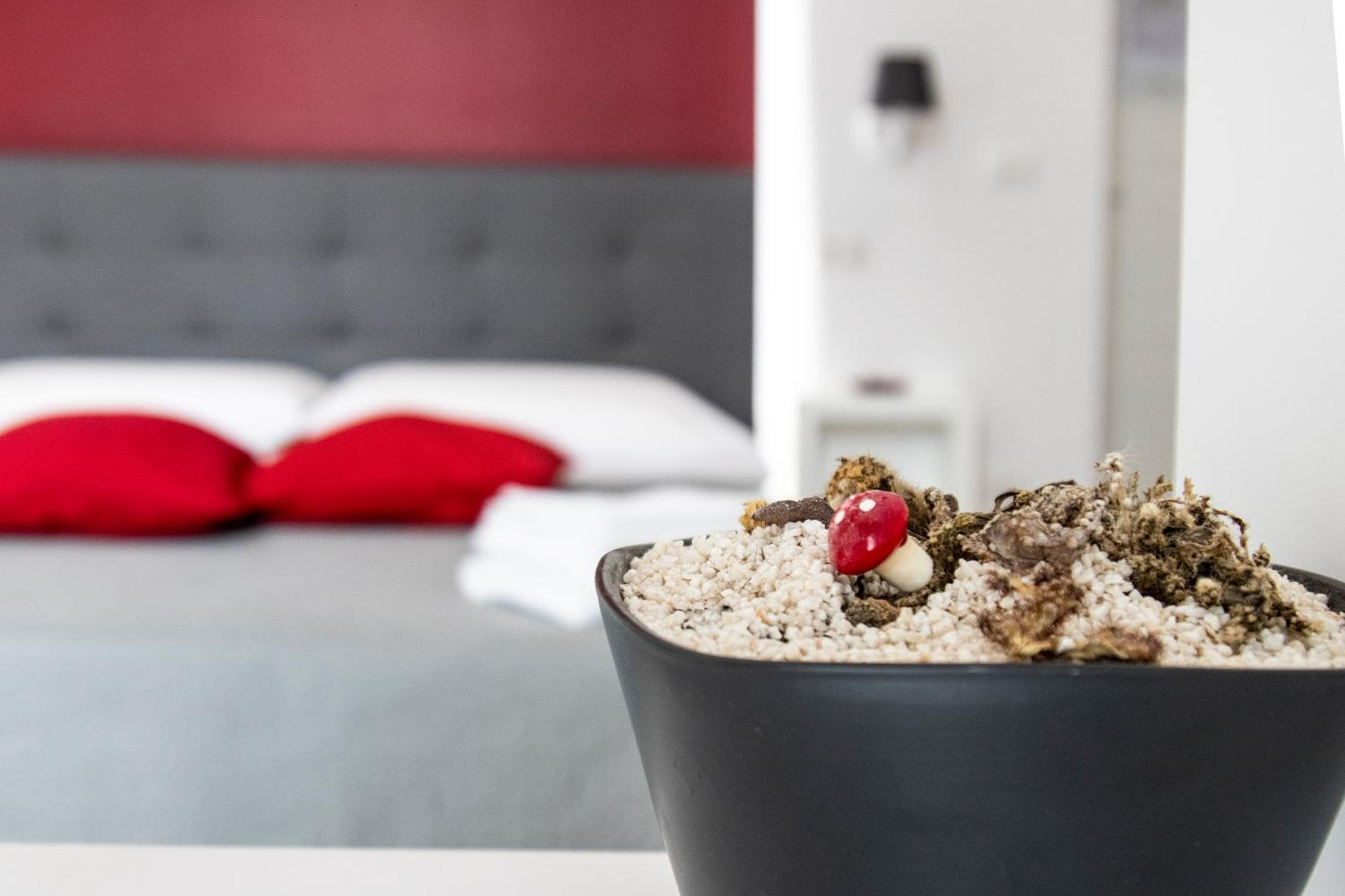 Aurora Luxury Rooms