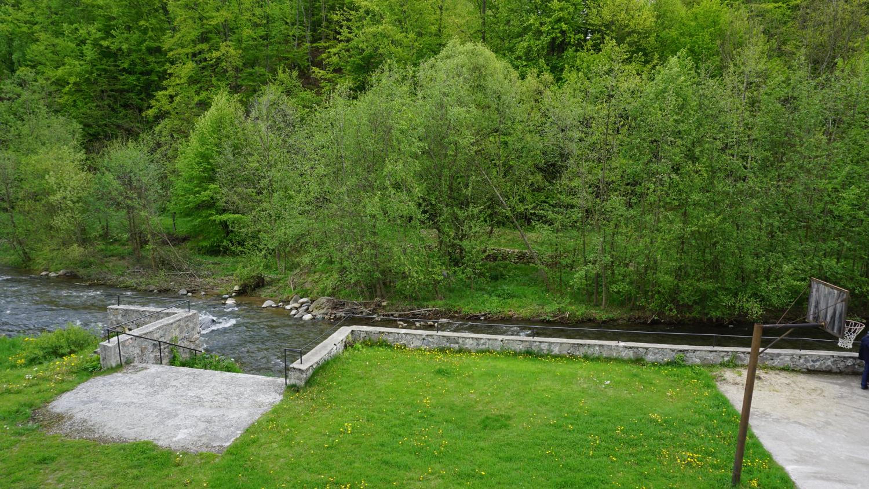 Photo 11