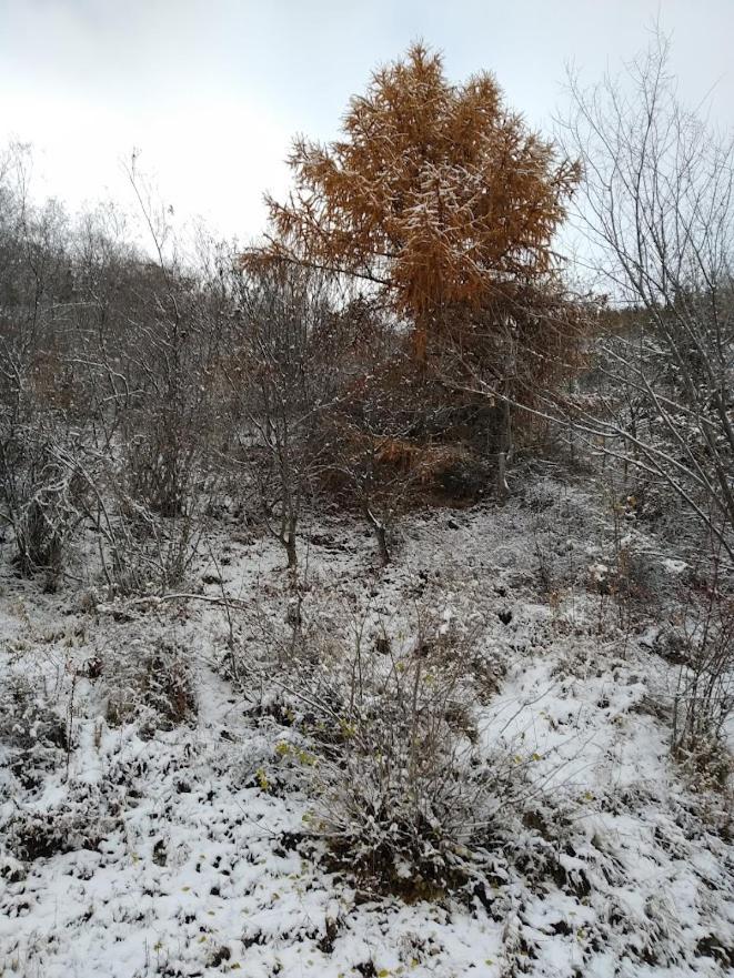 Photo 40