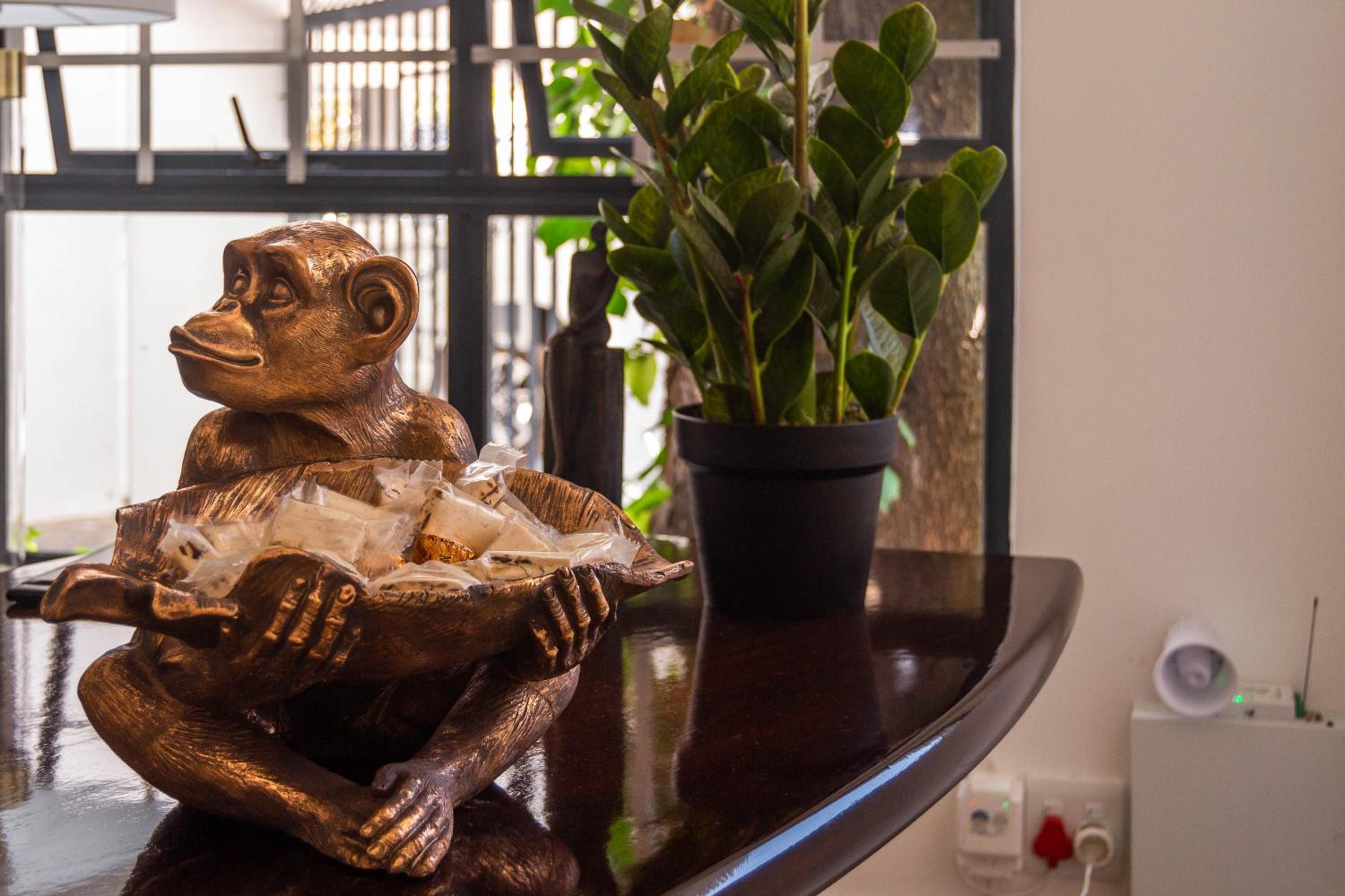 The Ivy Apartments Franschhoek — photo 48