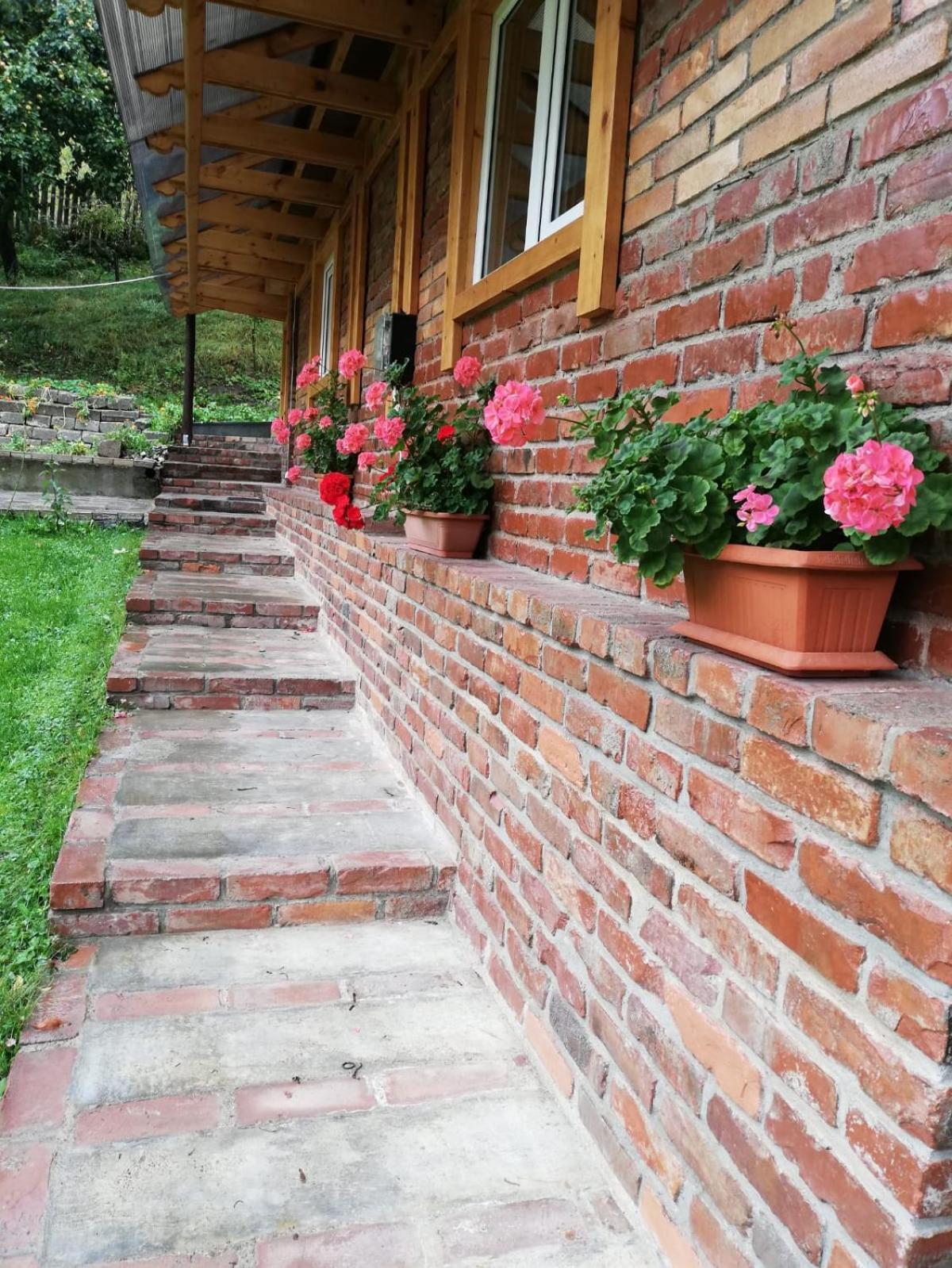 Casuta Azughia view 5
