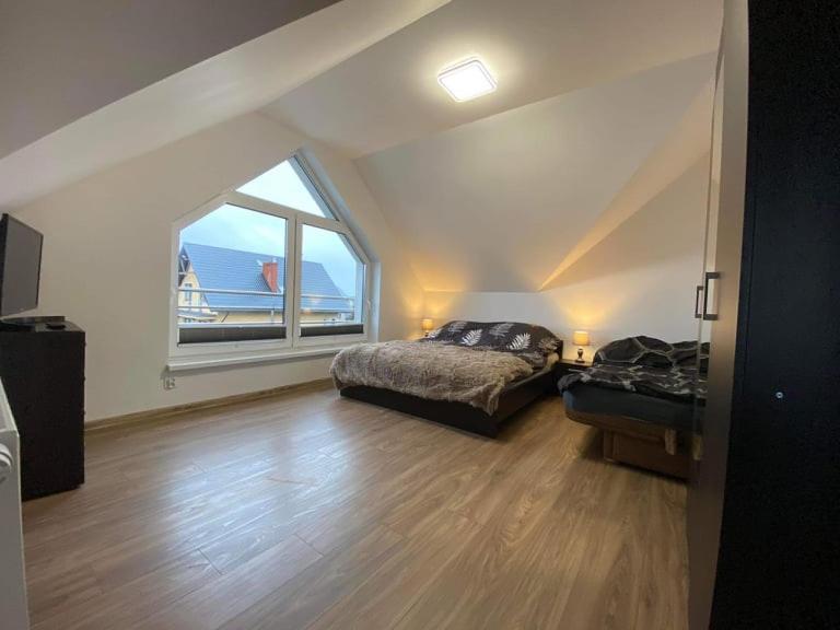 Apartamenty na Źródlanej view 4
