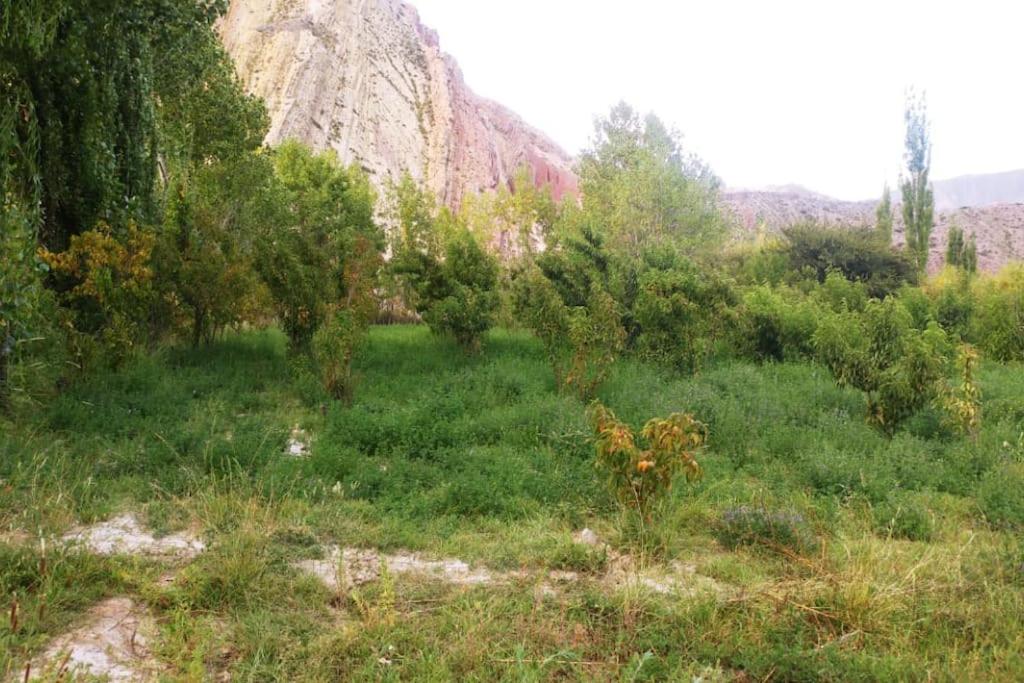 Cerro Amarillo, Cabaña de Juella