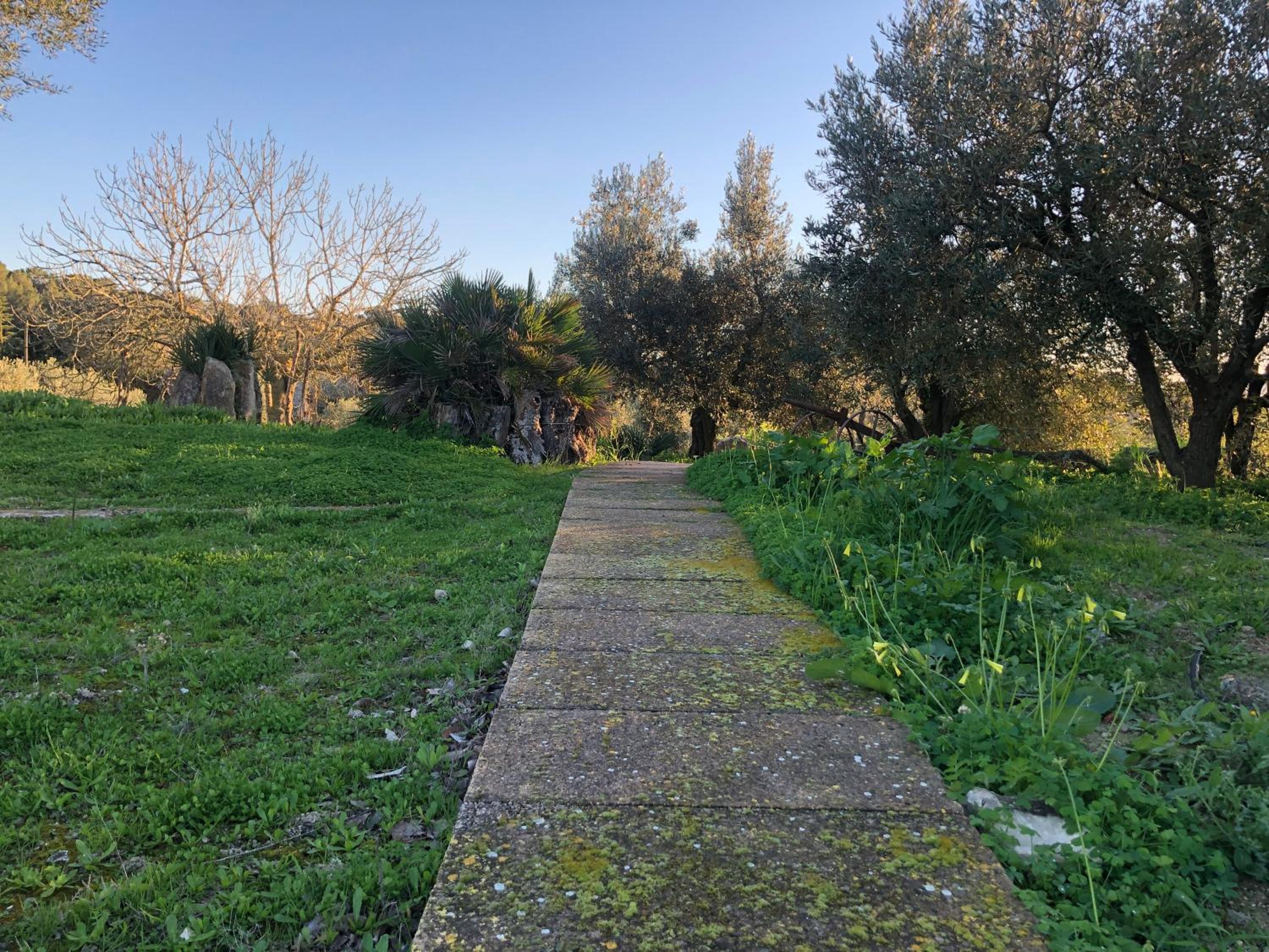 Photo 16