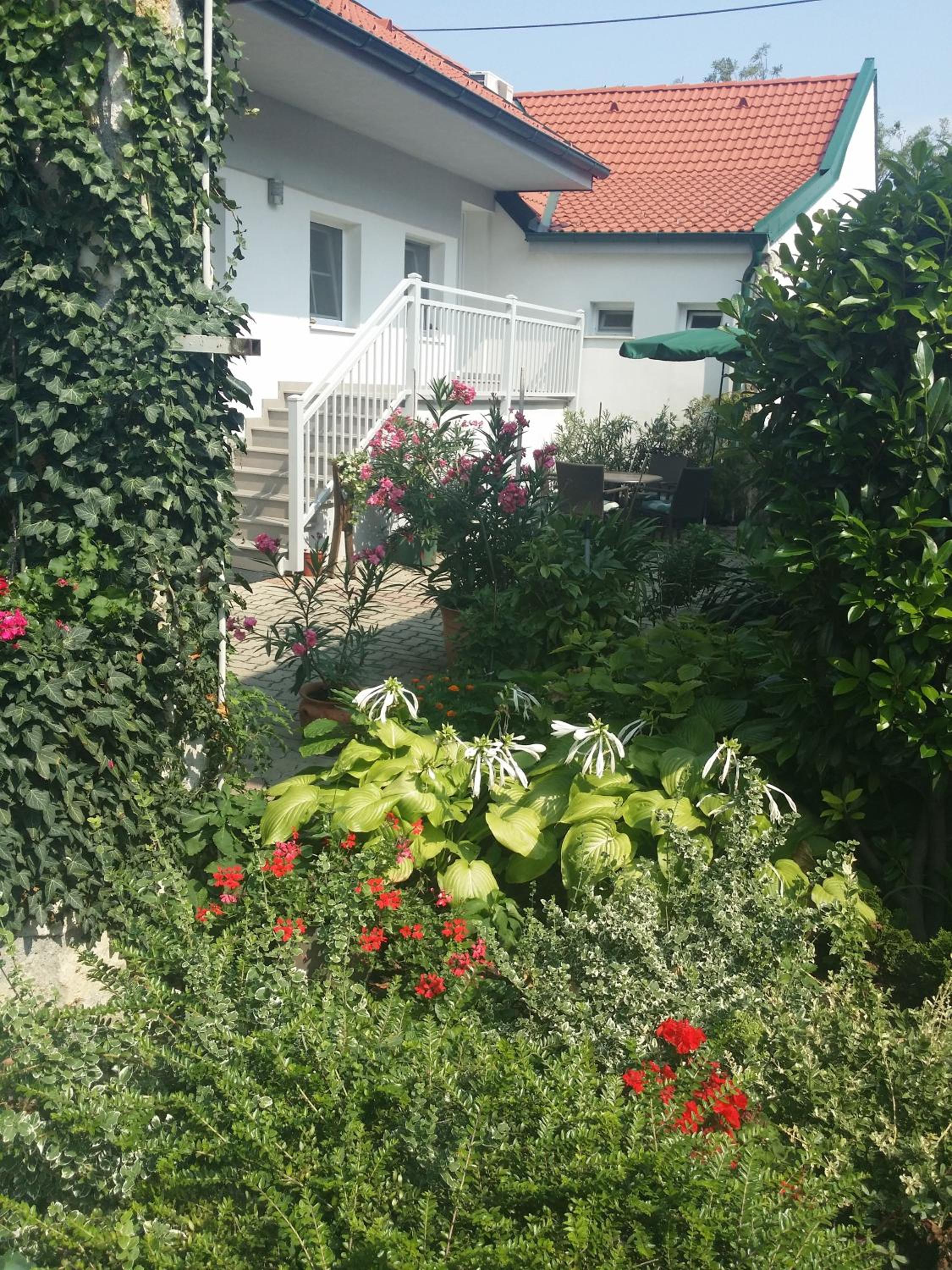 Photo 40