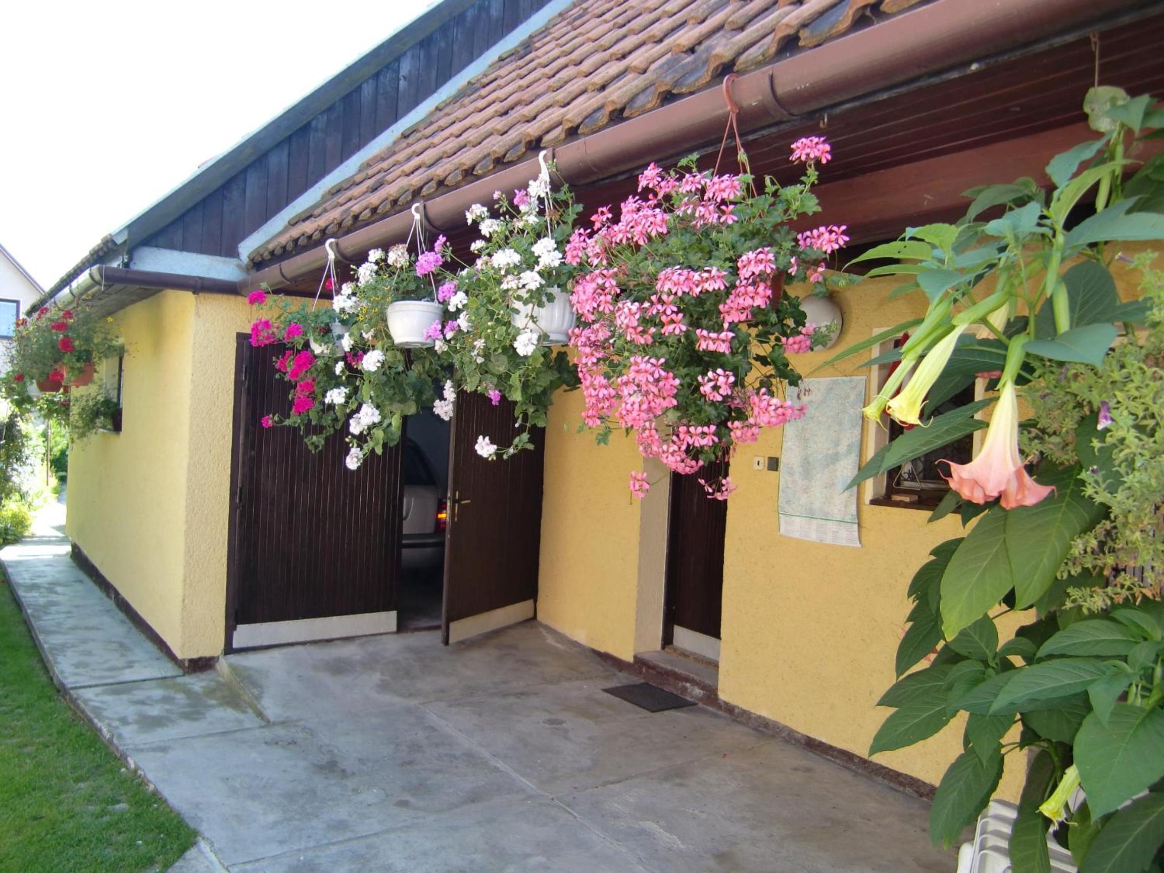 Photo 29