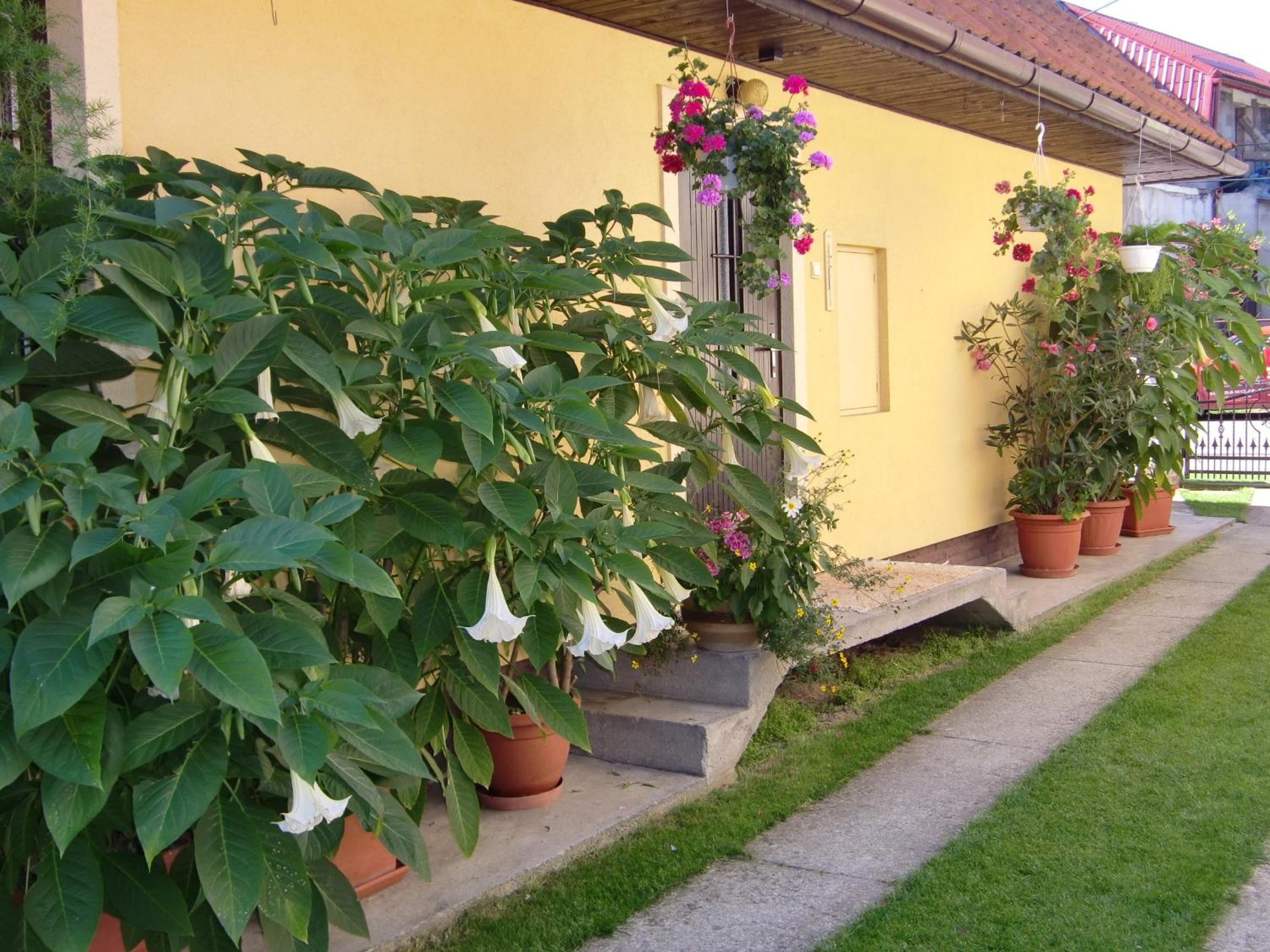 Photo 28