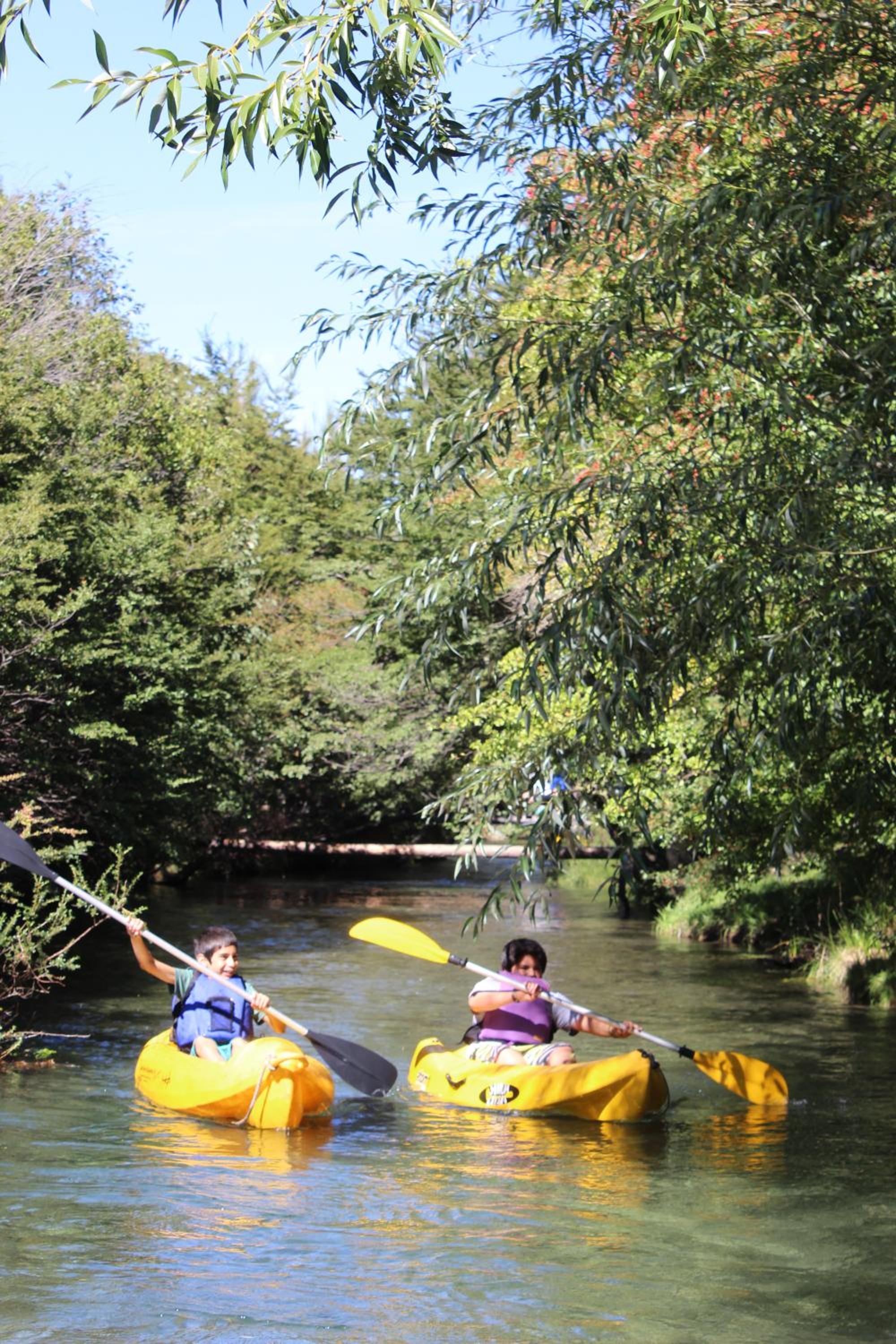 Los Coihues camping & hostel