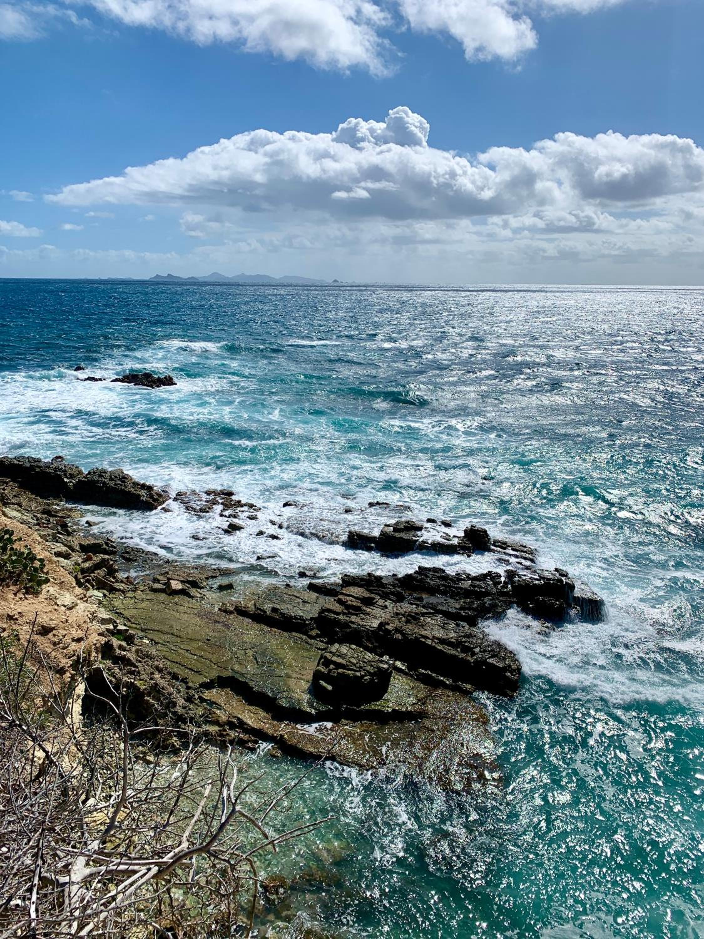 Ocean Shore