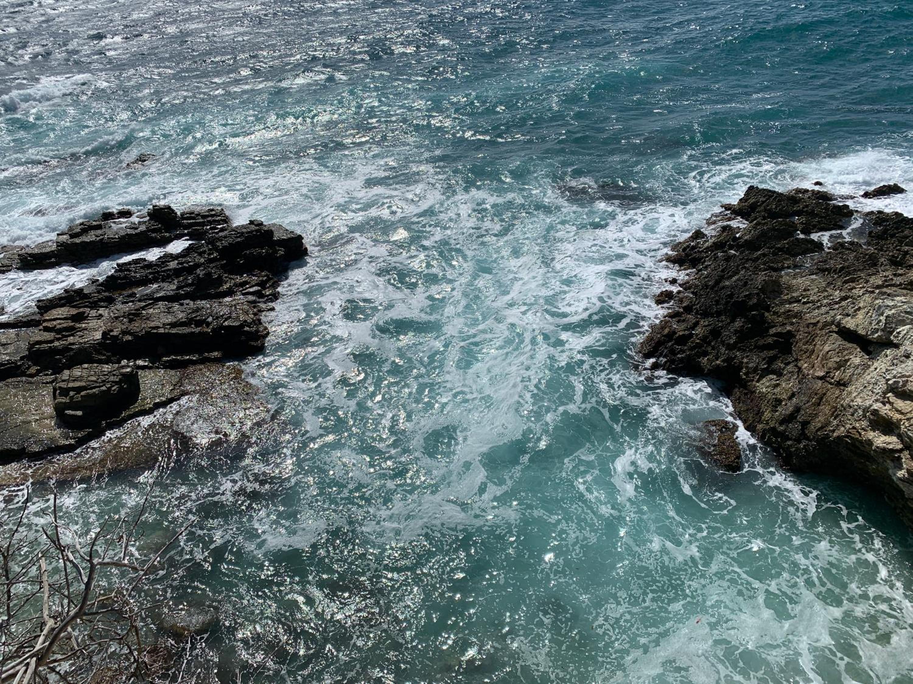 Ocean Shore