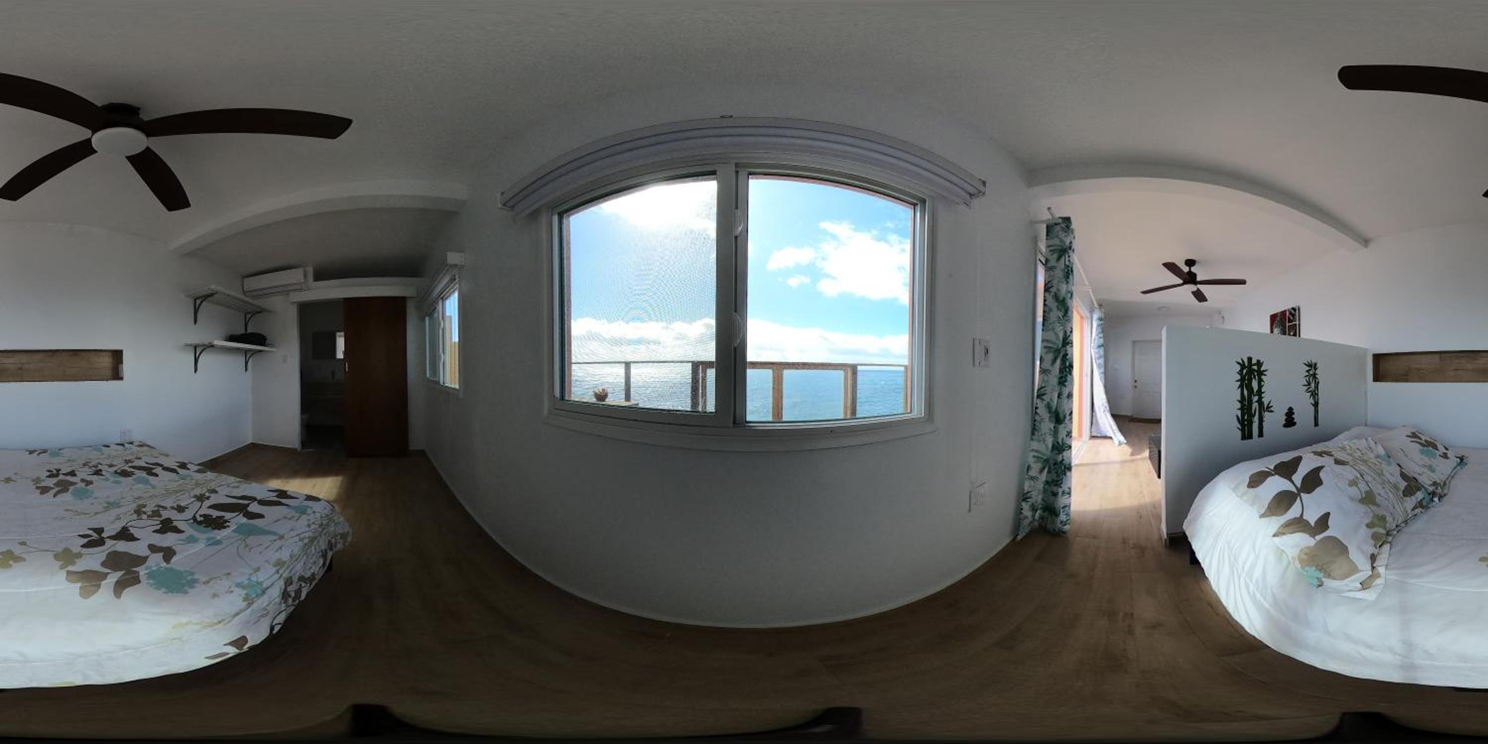 Ocean Shore