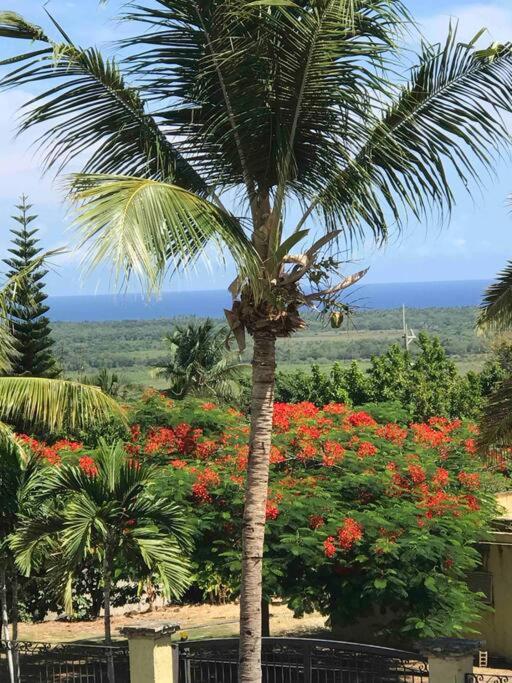 Hotel Cozy 2 Bedrooms Apartment In Puerto Plata - Image 1