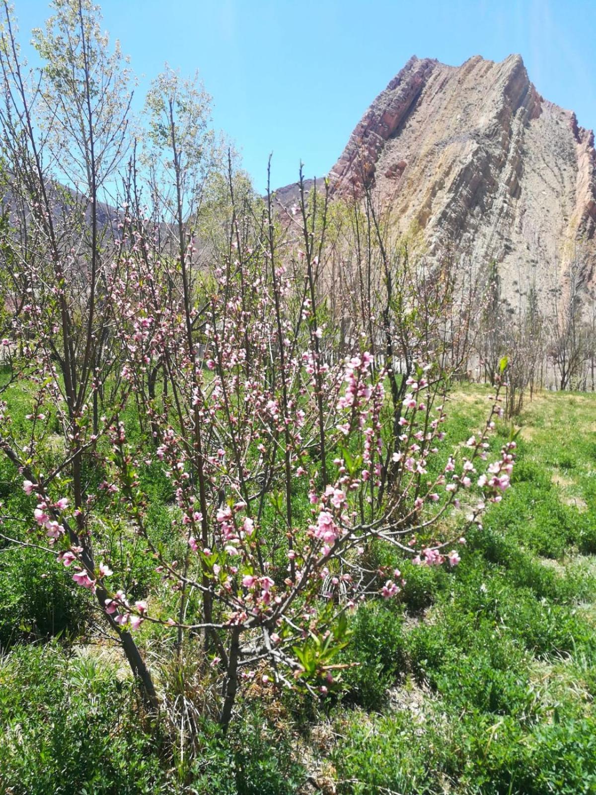 Cerro Amarillo, Cabaña de Juella