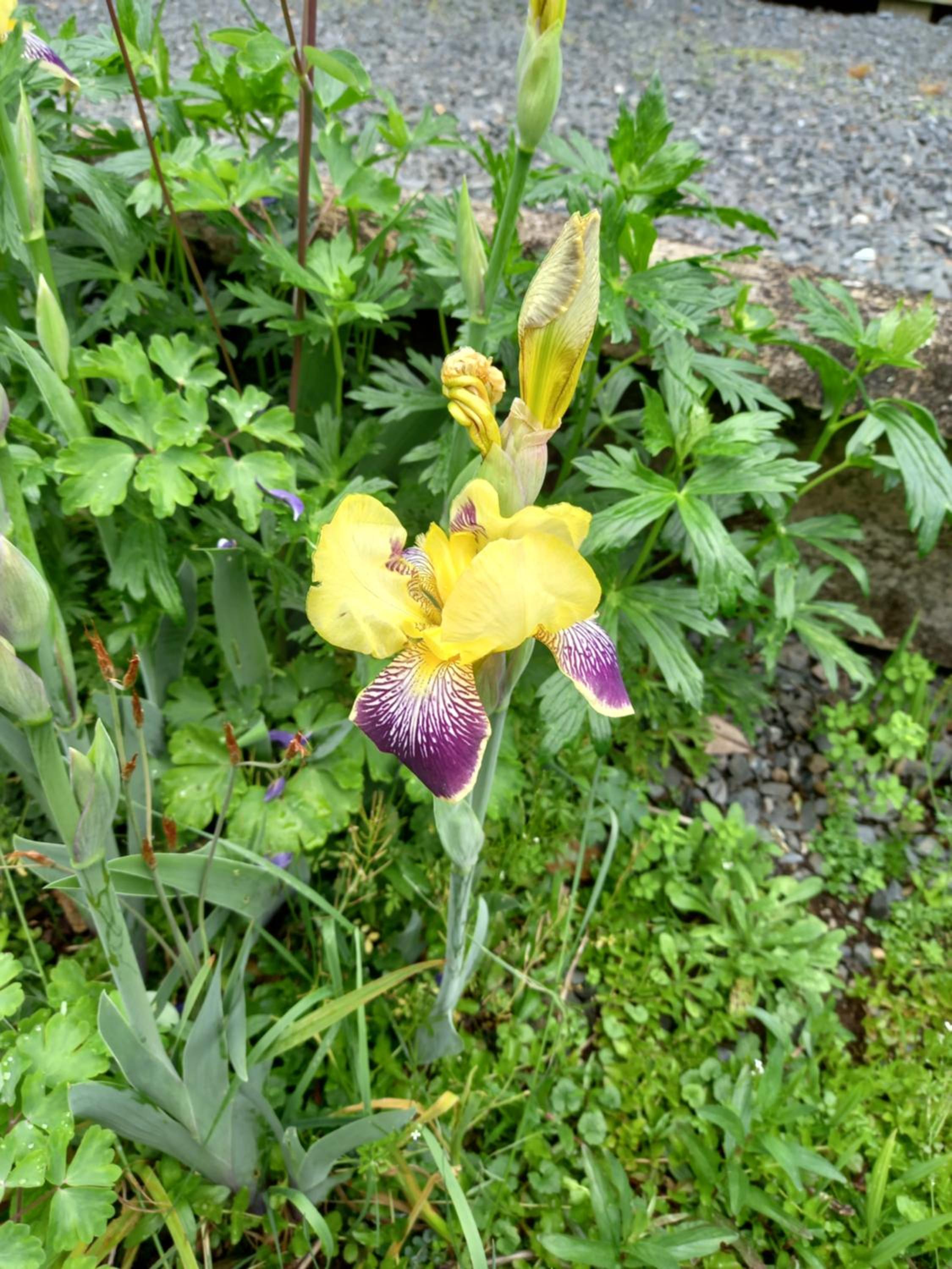 Photo 17