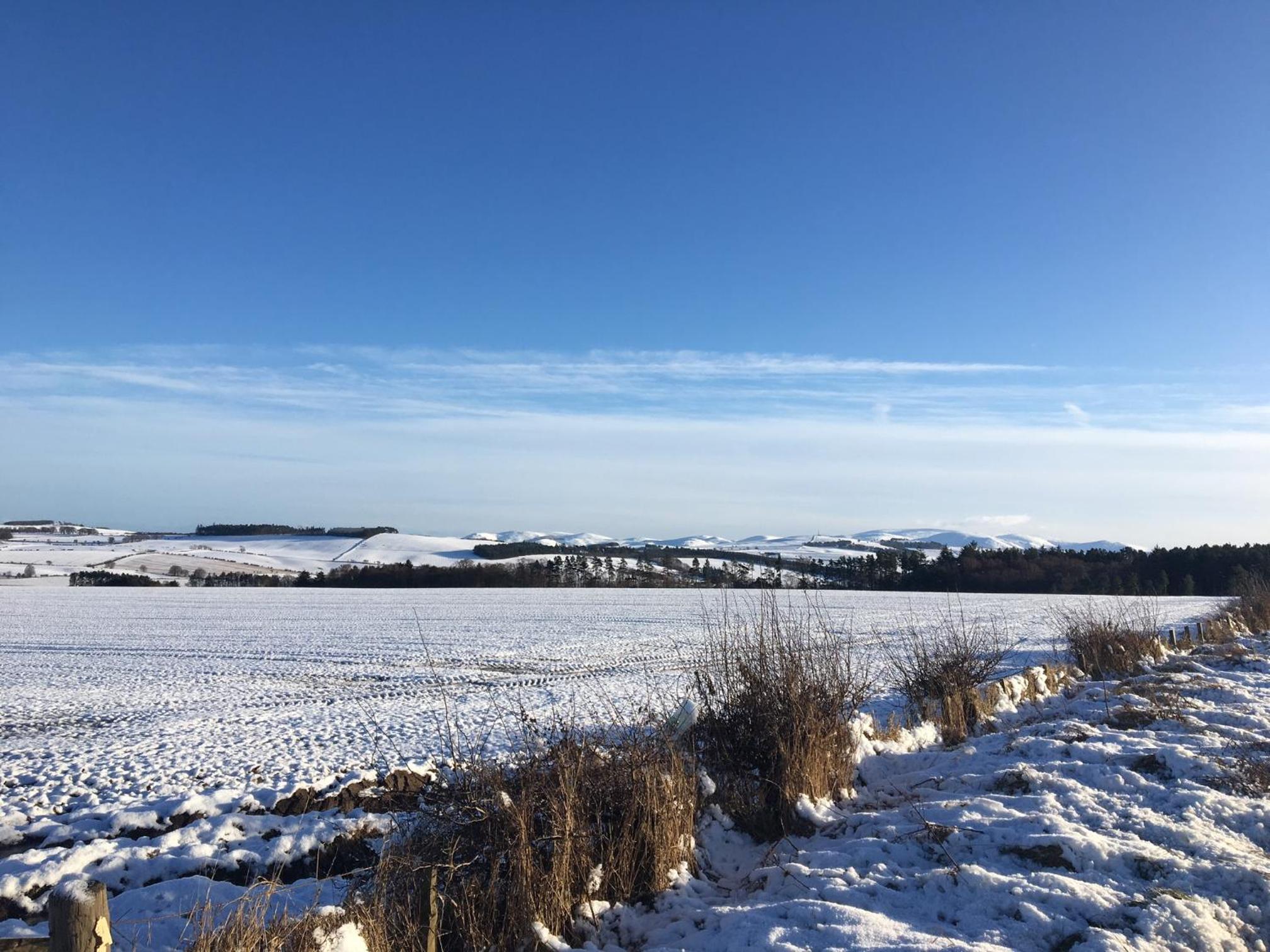 Gateshaw Cottage - Scottish Borders view 3