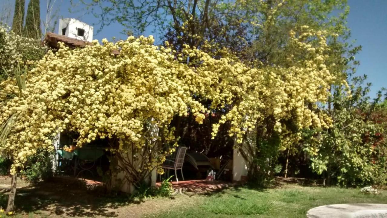 Casa en Luján de Cuyo con pileta