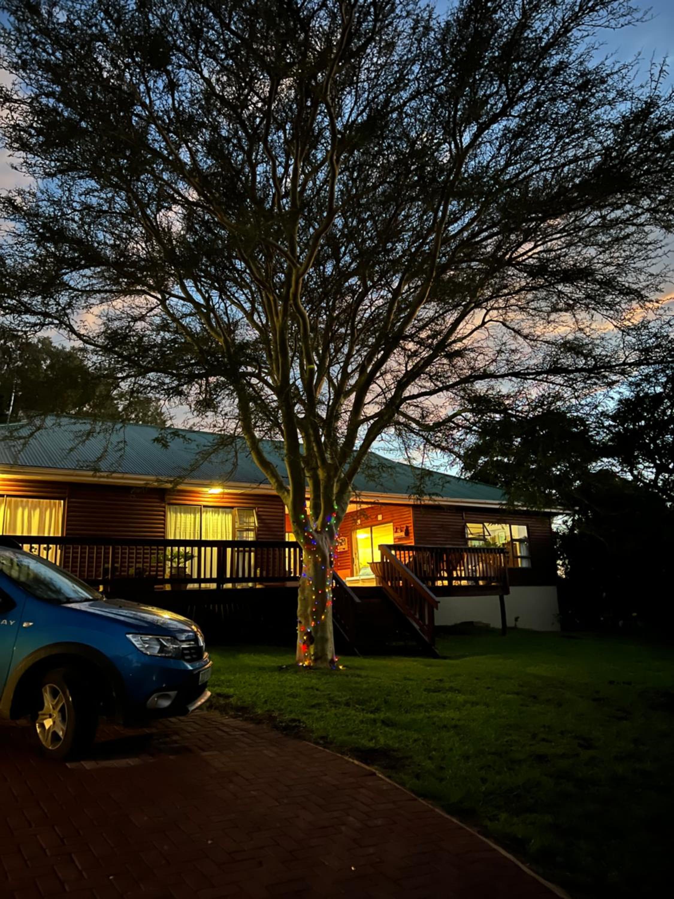 Fever Tree B&B view 3