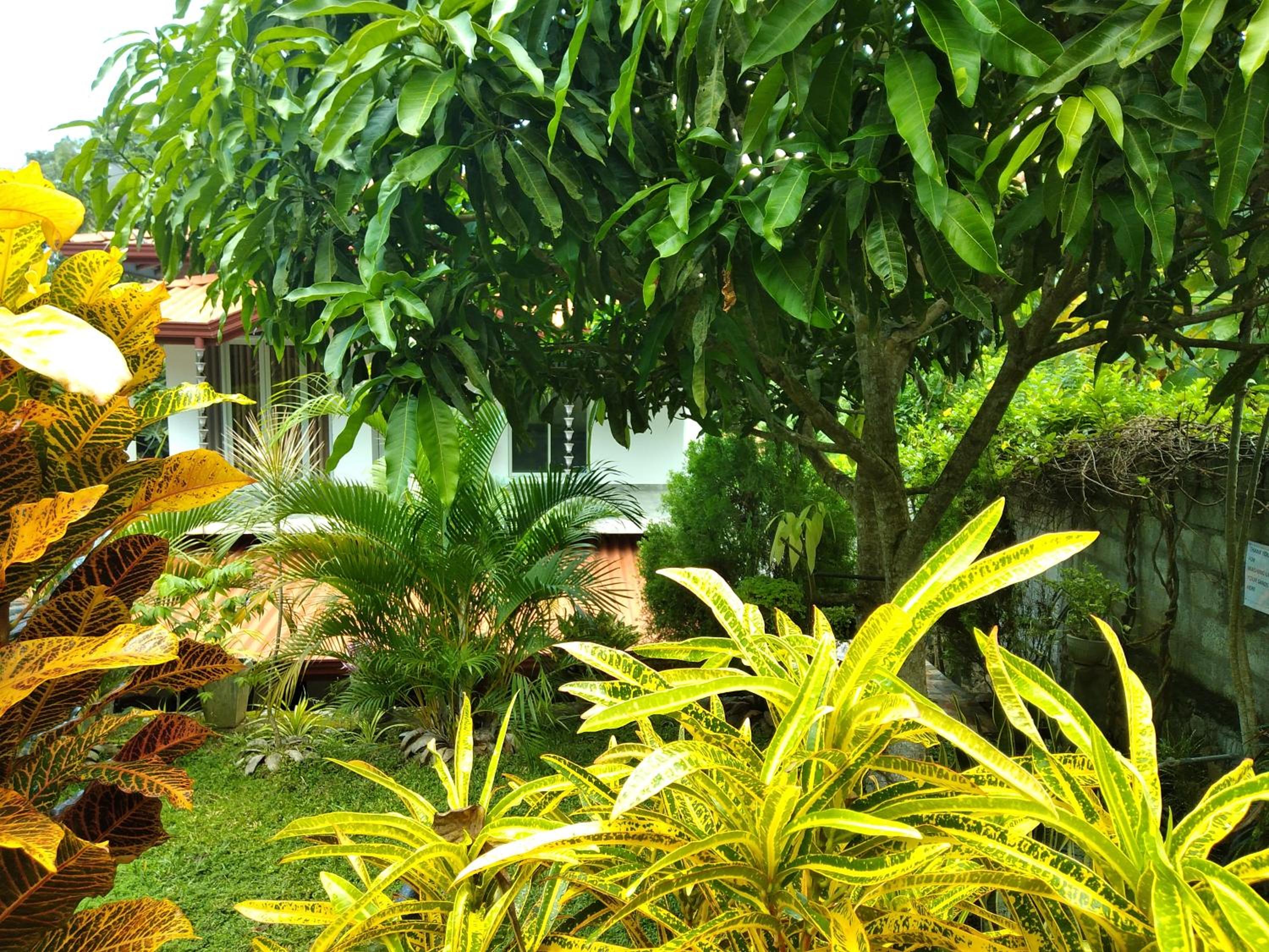 Photo 7