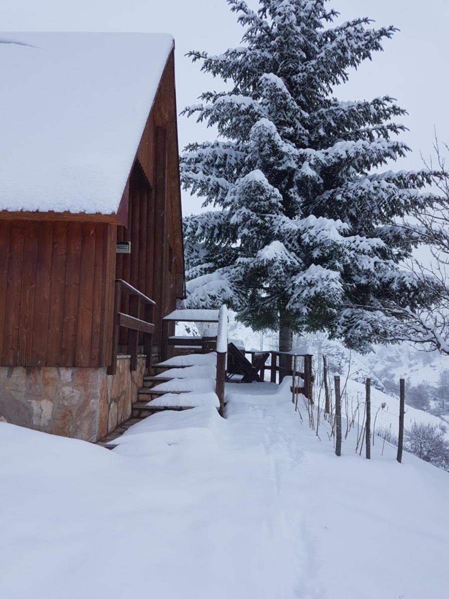 Detached house Milivoje view 5