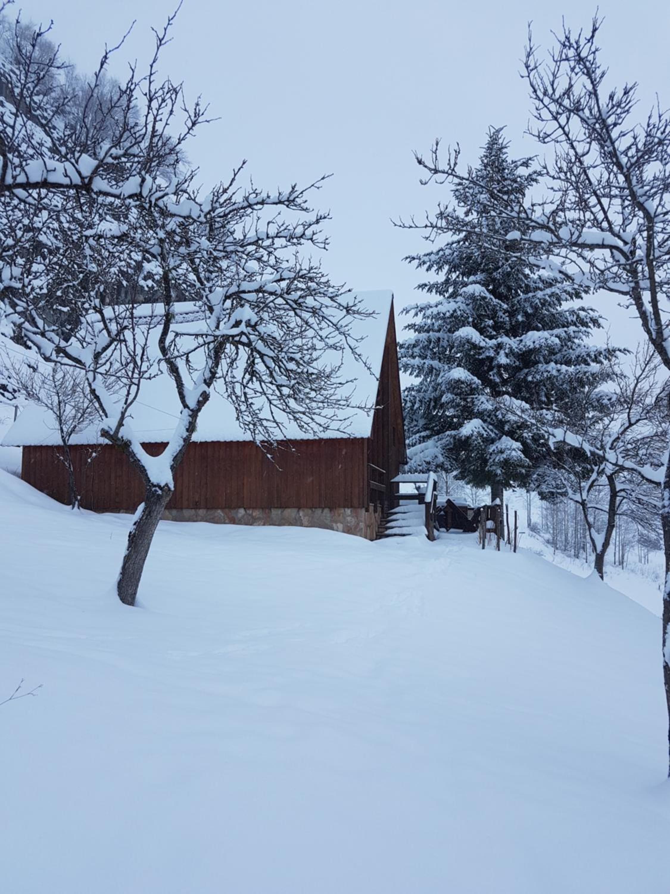 Detached house Milivoje view 3
