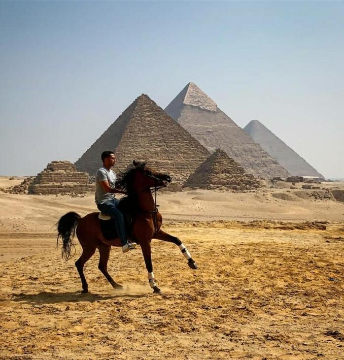 Villa by the Pyramids