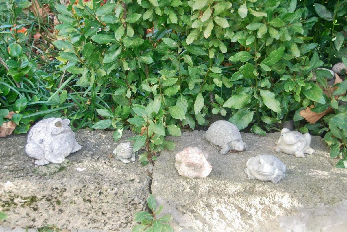Photo 44