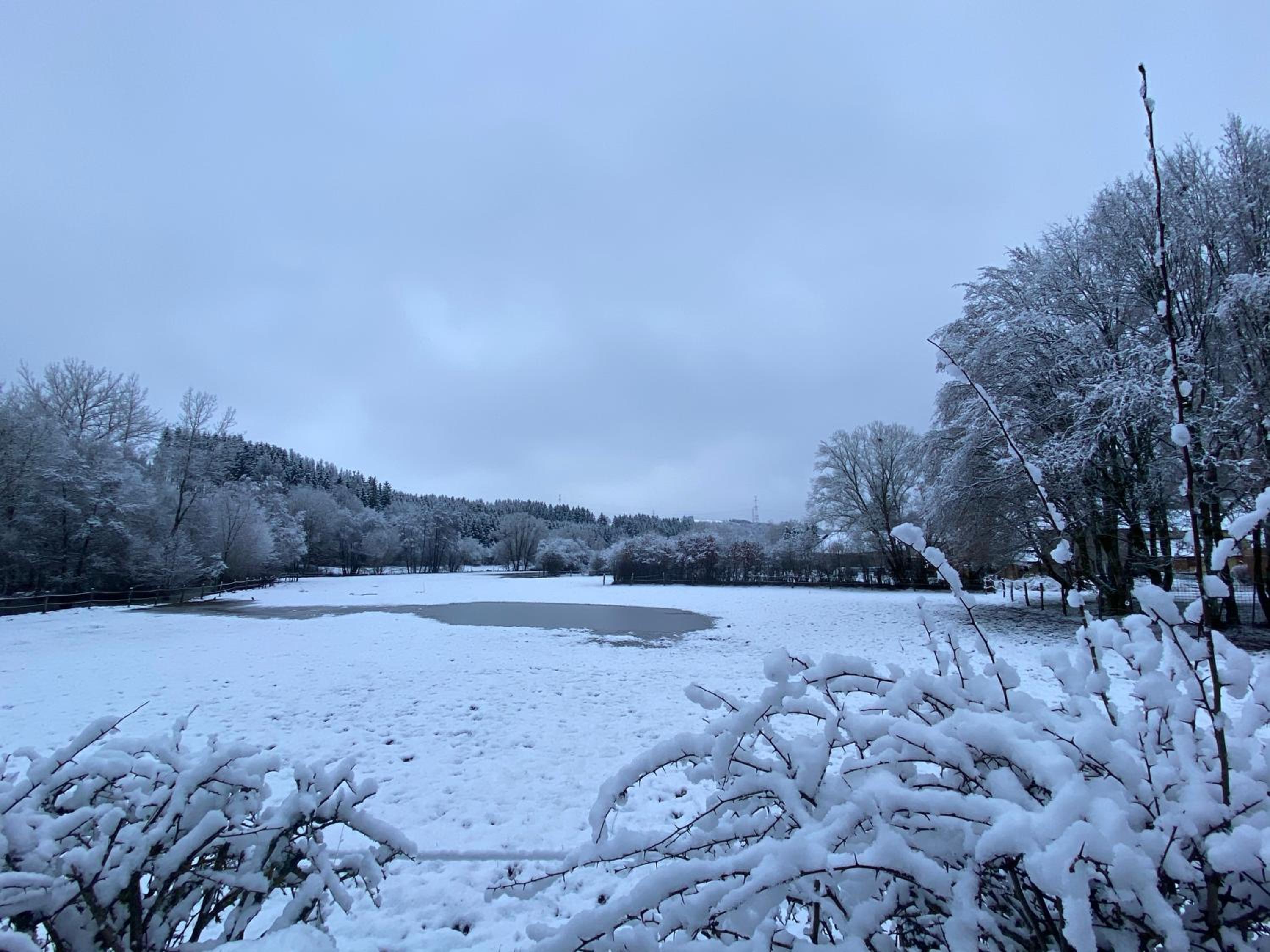 Le Scailleteux - Gîte de charme clôturé, accès à la rivière