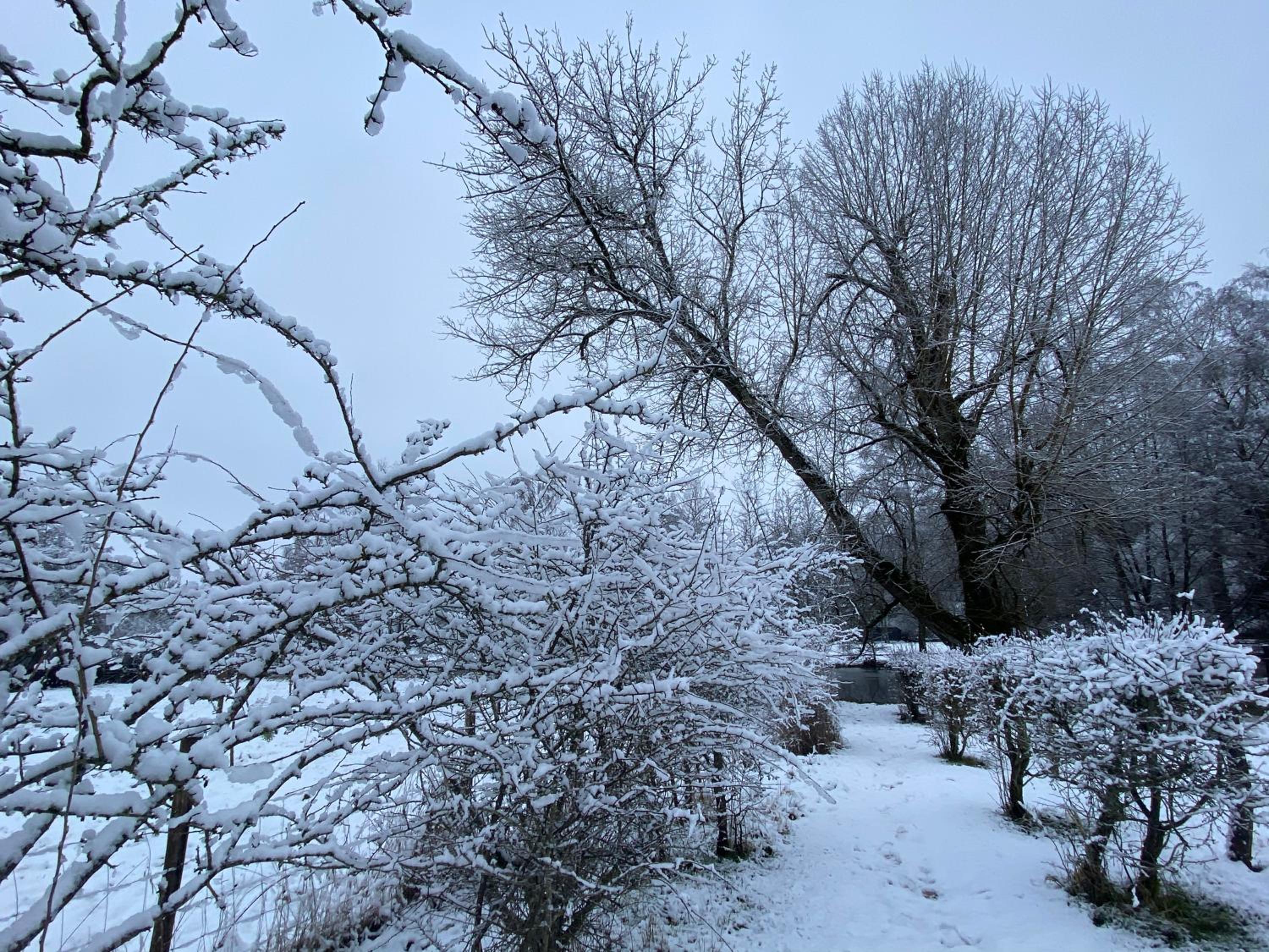 Le Scailleteux - Gîte de charme clôturé, accès à la rivière