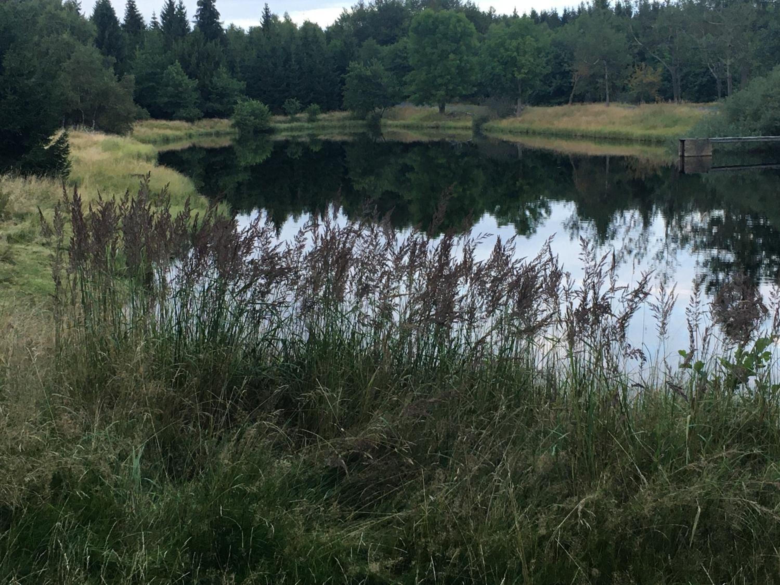 Photo 42