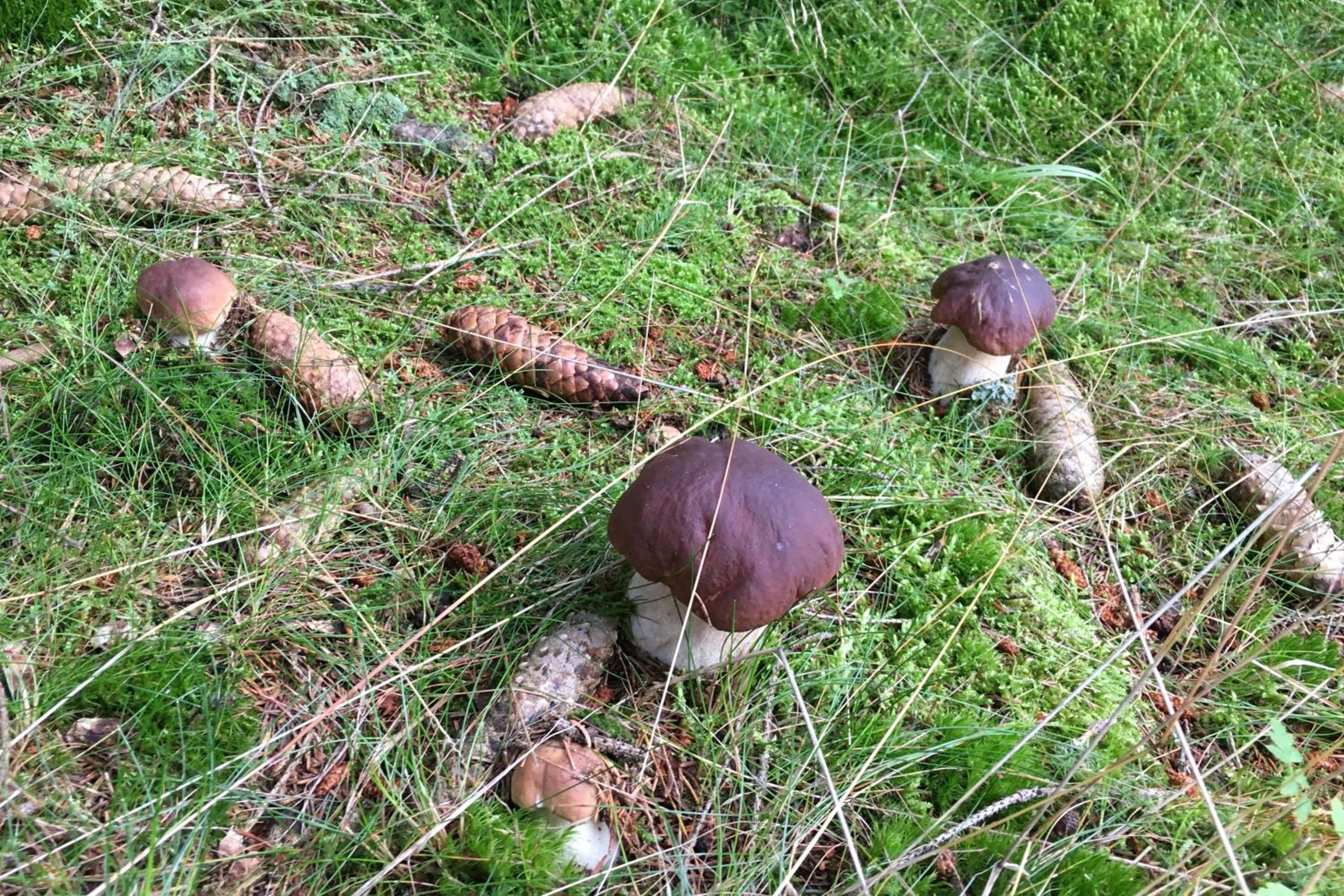 Photo 48