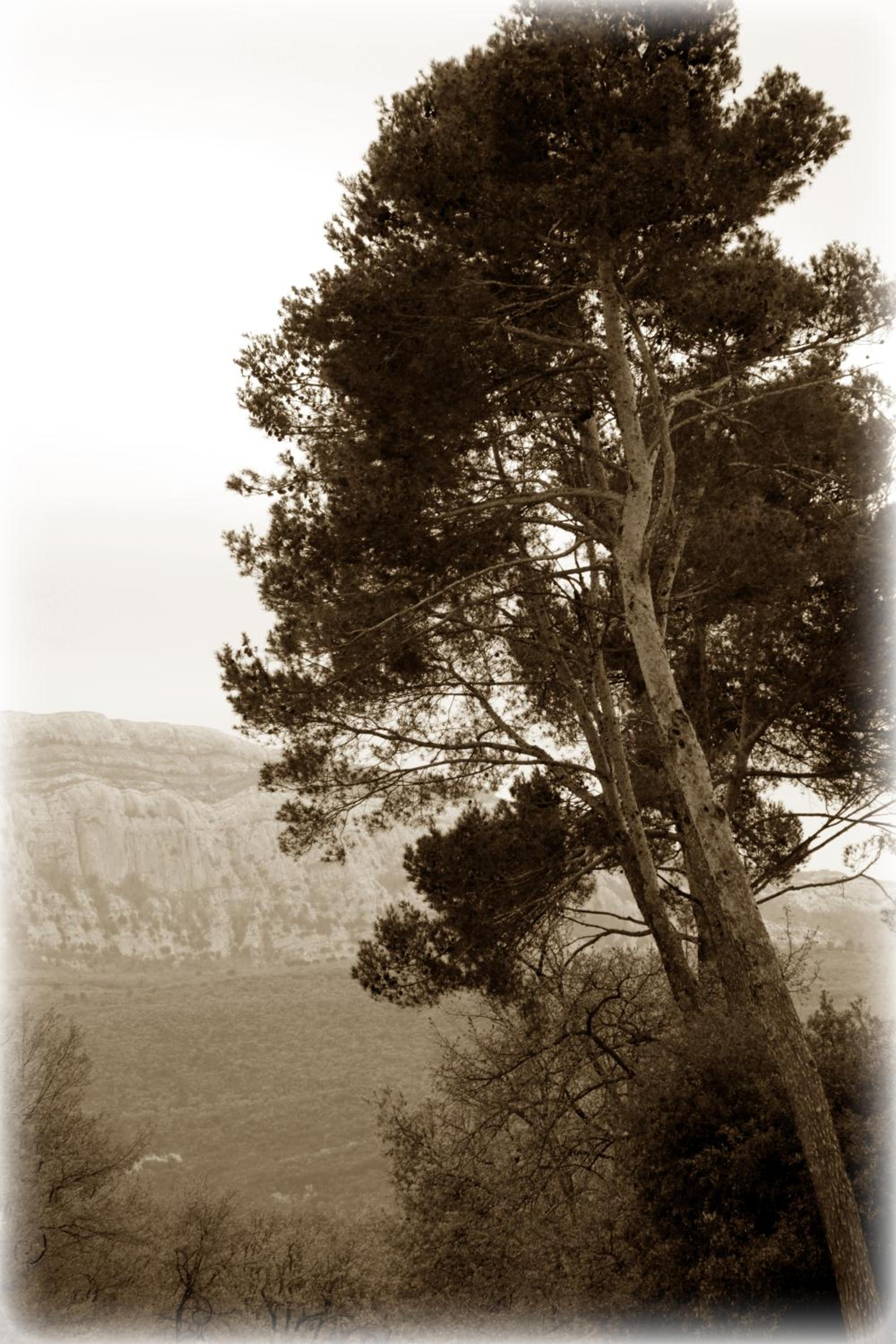 Photo 37