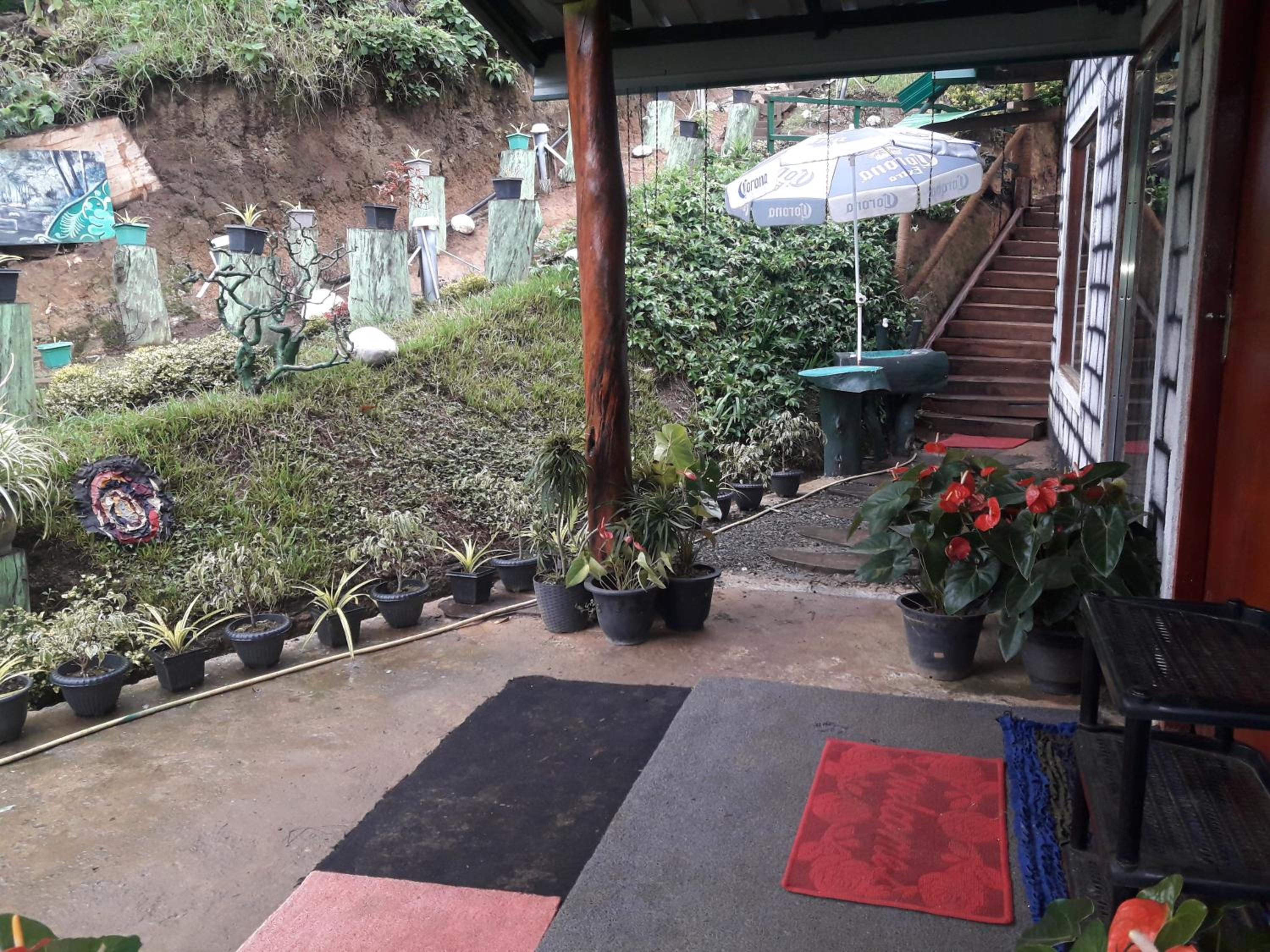 Photo 7