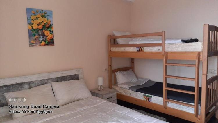 Bakuriani-apartment