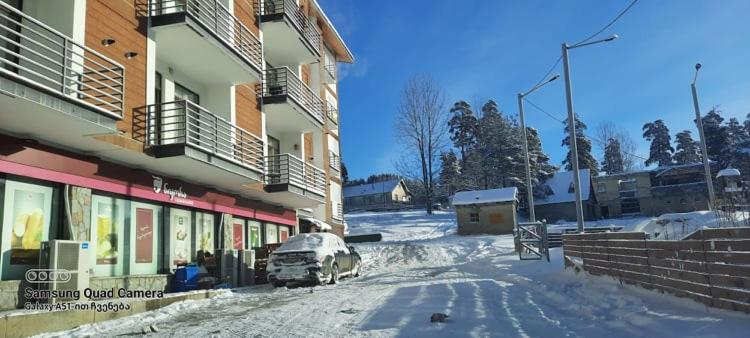 Bakuriani-apartment