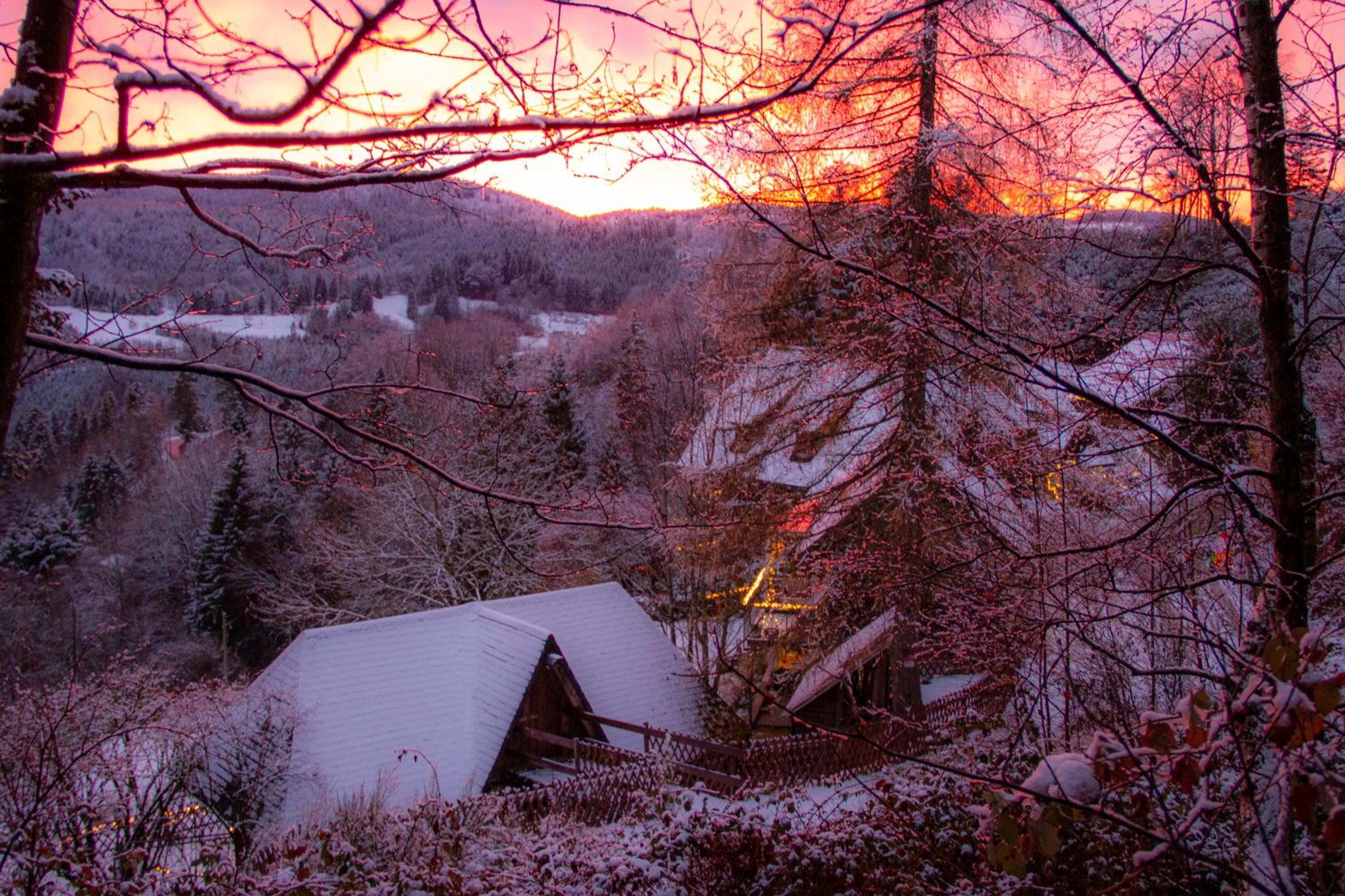 Gibbesbachhof Black Forest Apartments